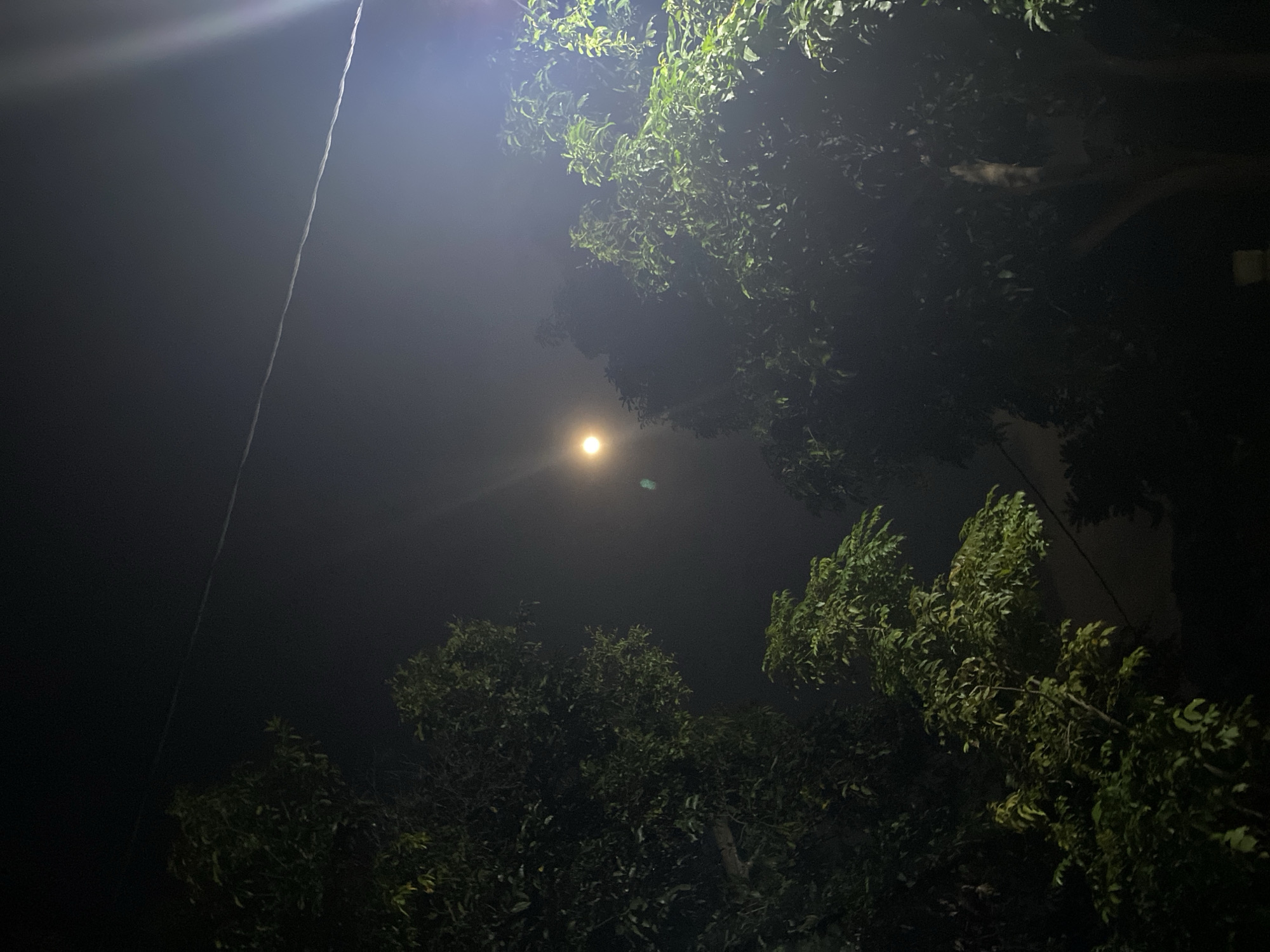 In a nighttime urban setting, the sky is dark, illuminated by a bright artificial light source on the right and a bright full moon or a distant bright light at the center-left. A power line stretches diagonally across the upper portion of the frame. Lush green trees with visible leaves frame the scene from the left and right, their foliage illuminated by the artificial lights. The overall atmosphere is dimly lit, characteristic of a night in a city or suburban area. There are no people or specific identifiable landmarks visible to determine the exact location.