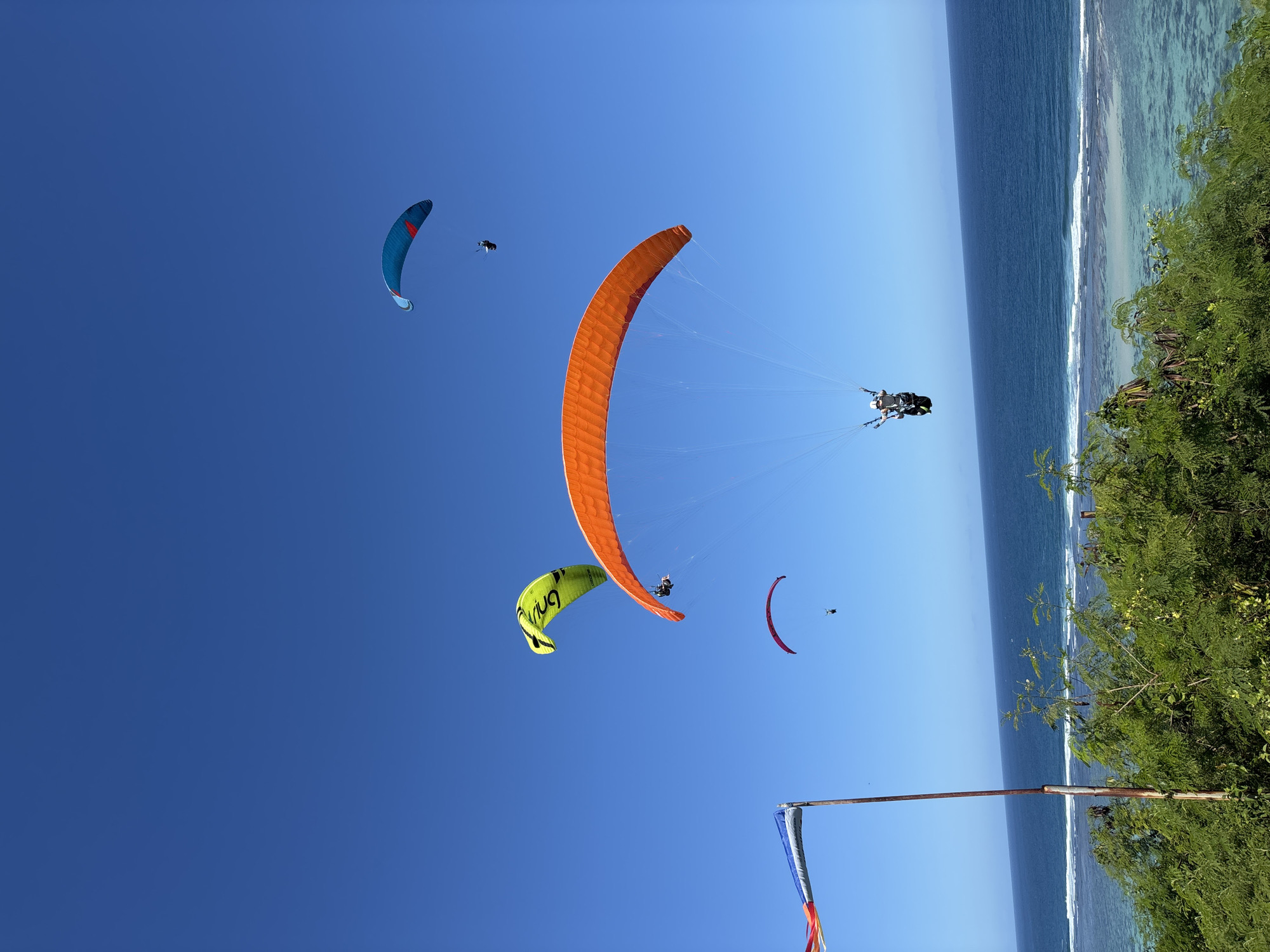 The photograph captures a scene in Kuta Selatan, Indonesia, where paragliders are actively engaged in flight against a clear blue sky. In the background, the ocean meets the shoreline, marked by a white line of breaking waves, with lush greenery visible on the right side of the frame. In the sky, there are multiple paragliders, each with a distinct color: orange, yellow, blue, and red. The orange paraglider is centrally positioned and appears to have two people attached to it. A small pole and flag are noticeable in the lower portion of the image.