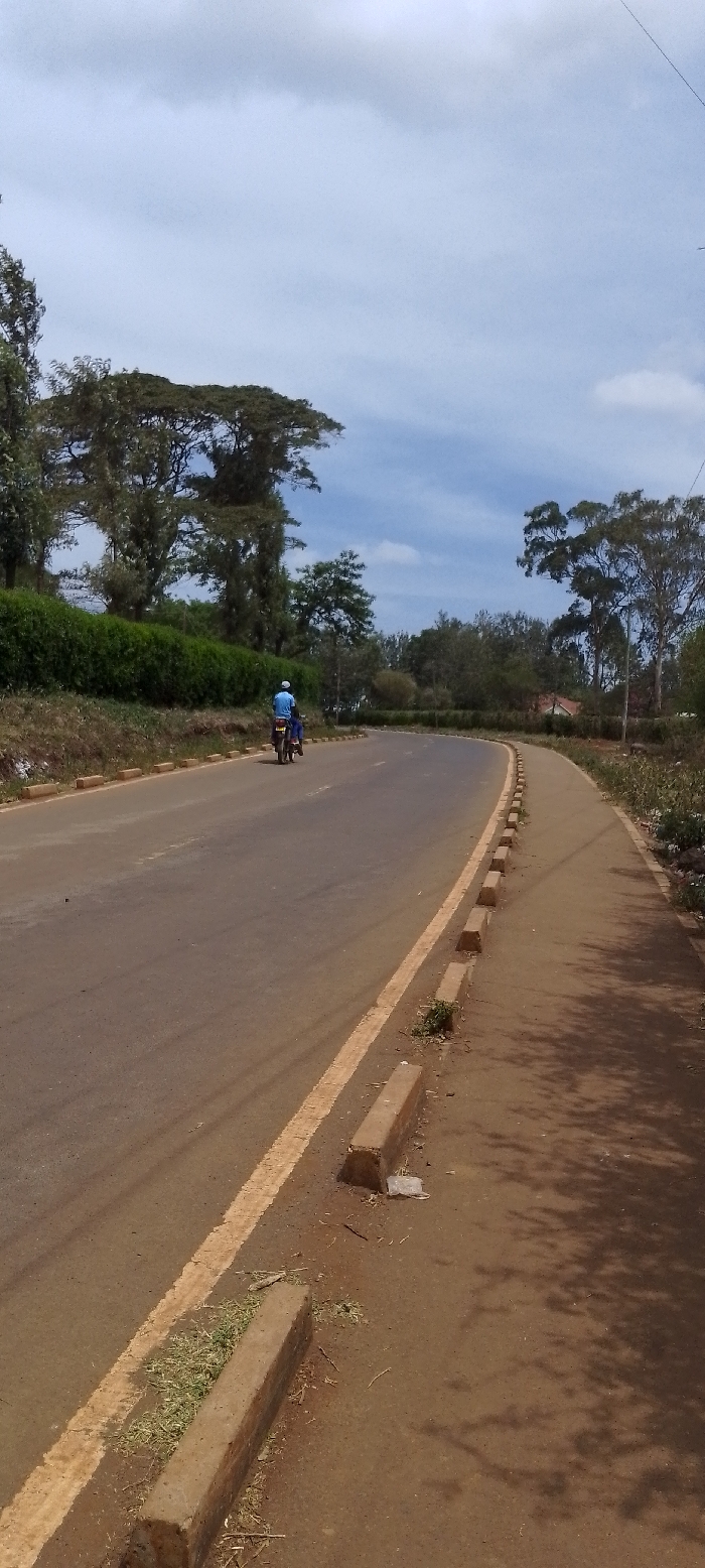 The scene depicts a rural or semi-urban road in Ngong ward, Kenya, under an overcast sky. A single individual, wearing a blue shirt and a white cap, operates a dark-colored motorcycle, proceeding away from the viewer on the paved asphalt road. The road features a solid yellow line delineating a lane and curves gently to the right as it recedes. To the right of the paved road, a dirt path is separated by a series of rectangular concrete curb stones. This path displays scattered litter and tree shadows. To the left of the road, an embankment rises, densely covered in green bushes, with numerous mature trees situated behind them and lining the road's curvature. Additional trees are visible on the right side of the road beyond the dirt path, and a light-colored building with a red roof is partially visible in the far-right background.