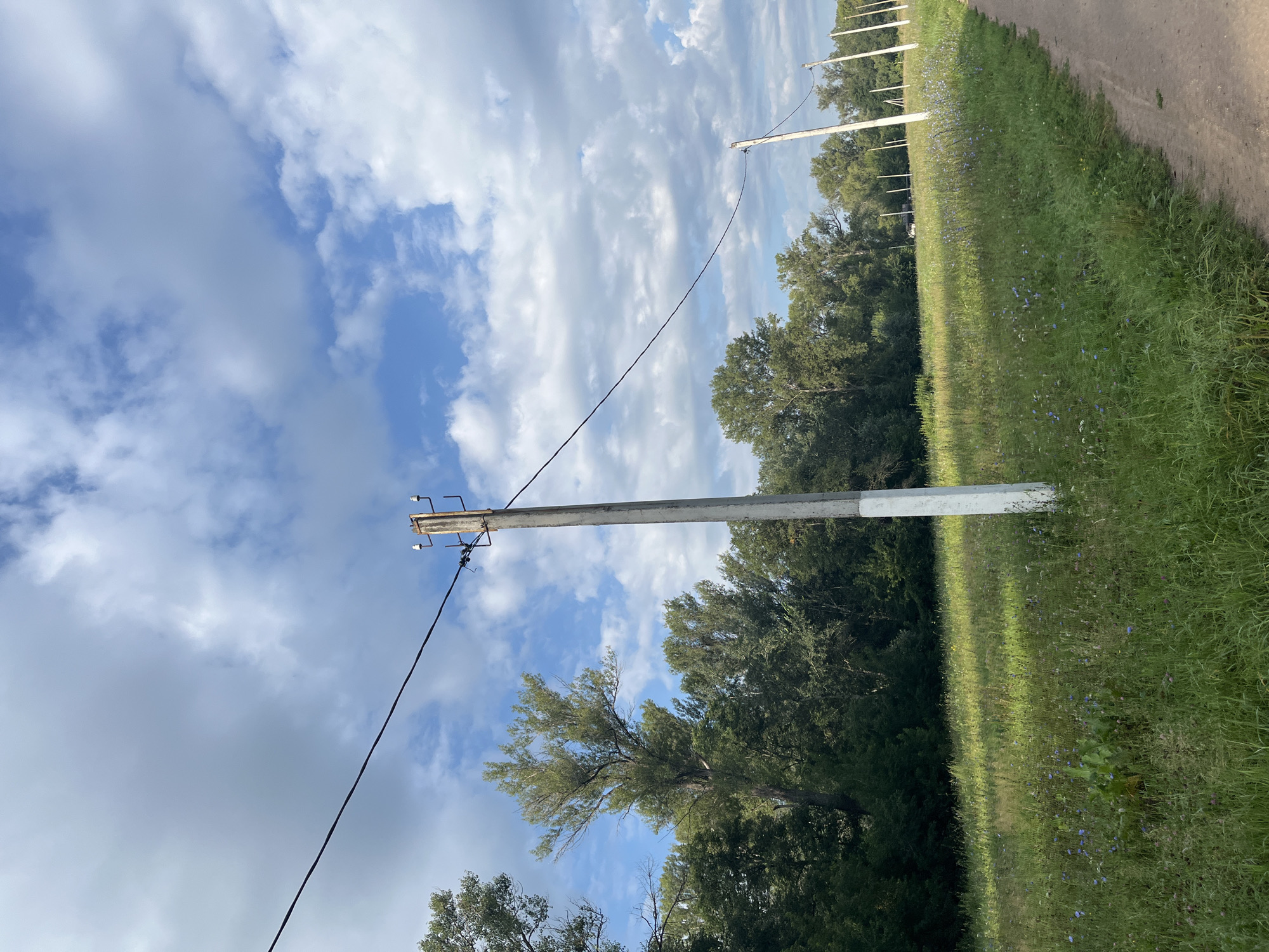 This is a full-frame, eye-level, outdoor, vertical photograph taken on a sunny day with scattered clouds. The image depicts a rural landscape with a dirt road running along the right side. In the foreground, a grassy field is dotted with small blue and white wildflowers. Several utility poles with power lines stretch across the frame, disappearing into the distance. The poles are spaced out along the edge of the field, with the closest one to the left appearing more substantial than the others. Behind the field, a dense line of green trees forms a natural backdrop. The sky is partly cloudy, with patches of blue visible between the white clouds. The lighting suggests it is daytime, with sunlight casting shadows and highlighting the textures of the grass and trees. The scene is devoid of people or any visible human activity other than the utility poles and power lines, suggesting a sparsely populated or undeveloped area. The overall impression is one of natural tranquility and infrastructure integration. The location is identified as Blagoveshchensk, Russia.