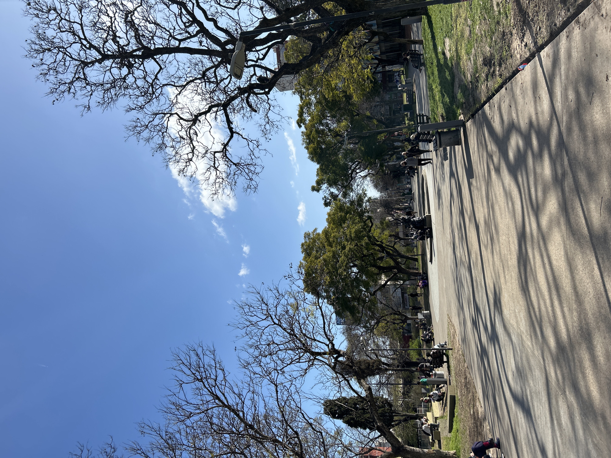 The image depicts a sunny day in a public park in Buenos Aires, Argentina. In the foreground, a paved walkway casts long shadows from the surrounding trees. Several people are seated on benches and the grass, enjoying the weather. In the middle ground, a fountain and more trees are visible, with more people strolling along the paths. In the background, buildings line the street bordering the park, and a tall, bare tree with intricate branches dominates the right side of the frame. The sky is a clear blue with a few wispy clouds.