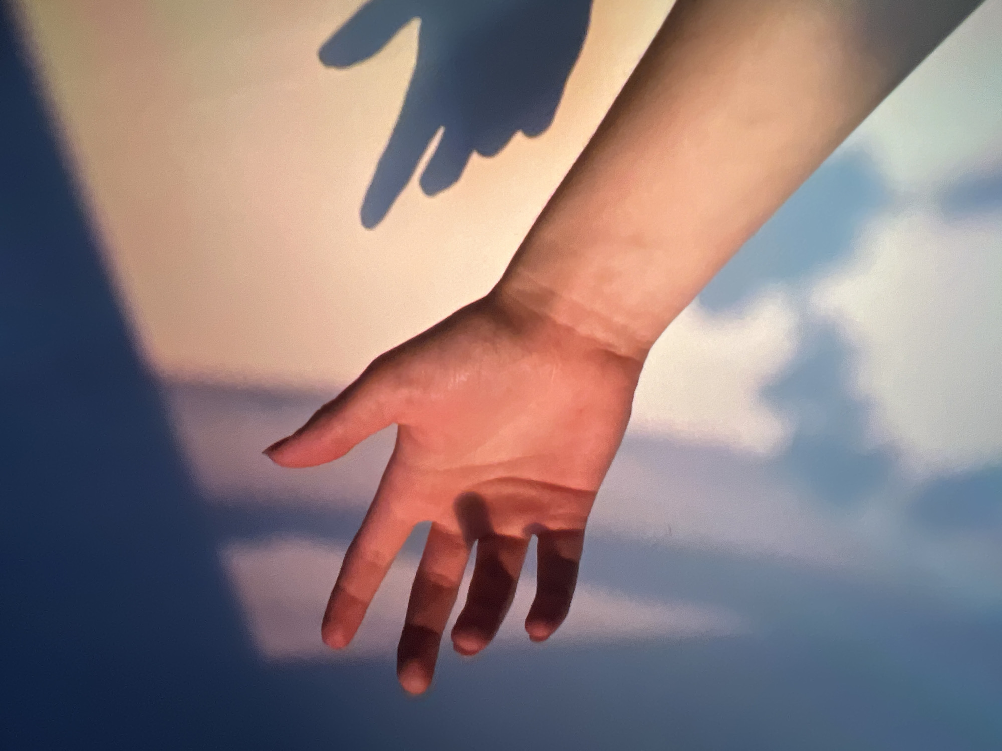 The image shows a close-up of a person's left arm and hand, illuminated by warm, reddish-orange light, possibly from a sunset or artificial source. The hand is open, with fingers slightly splayed, and appears to be reaching towards the viewer or a surface. A shadow of the hand is cast on a wall behind it, which is illuminated with a gradient of colors ranging from deep blue on the left to a lighter, peachy-pink on the right. The shadow on the right side of the wall depicts a hand gesture that resembles a pointing finger. The overall lighting creates a dramatic and somewhat abstract effect, with distinct light and shadow patterns. There is no information about the location in Genemuiden, Netherlands.