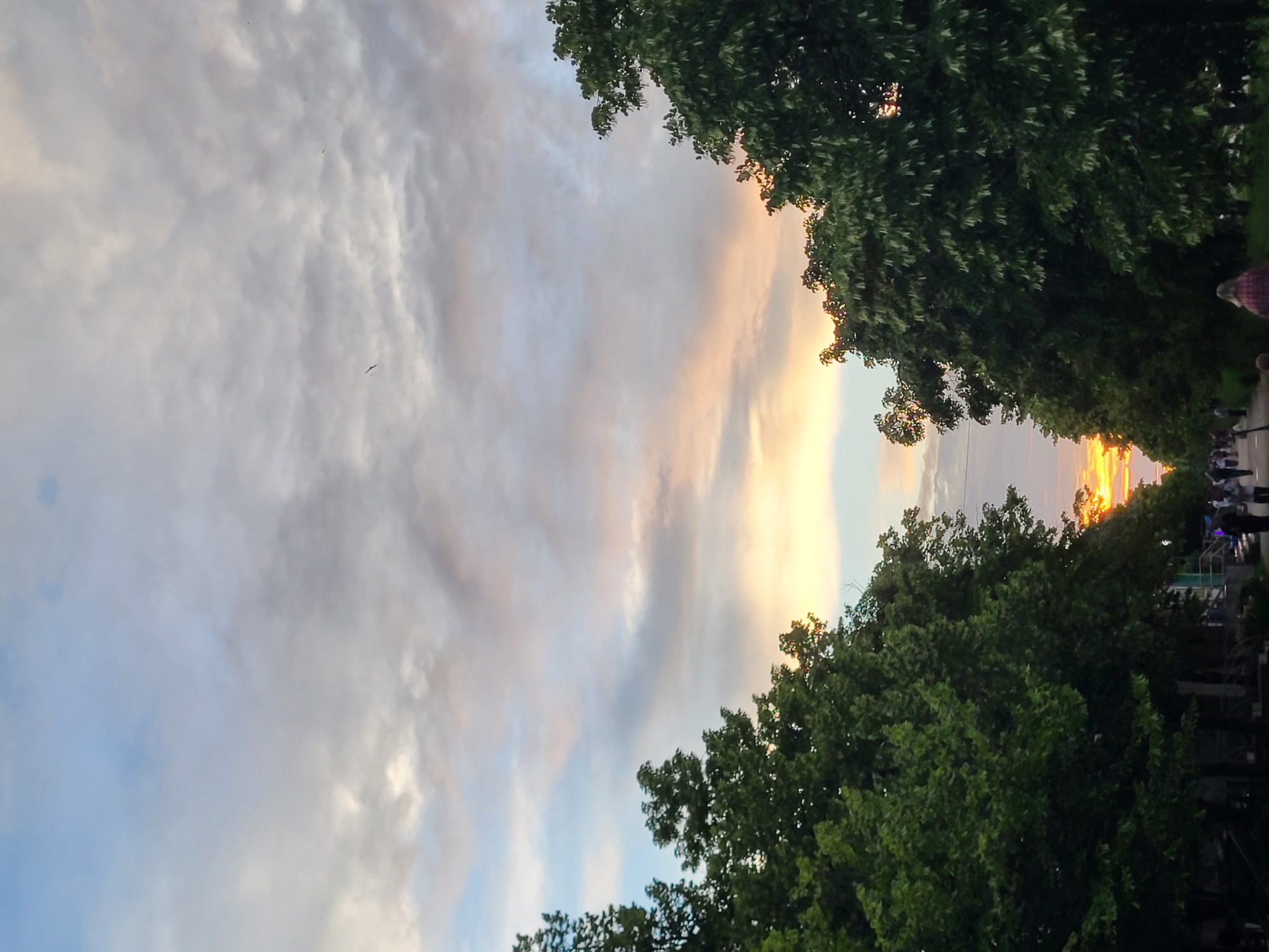 The image shows a sunset over a tree-lined avenue, likely in Horishni Plavni, Ukraine. Tall, leafy green trees line both sides of a pathway or road, creating a natural canopy. In the distance, the sky is a blend of soft blues, pinks, and oranges, indicative of a sunset. Scattered clouds drift across the sky, with a faint silhouette of a bird visible in the upper portion of the frame. A group of people, appearing as small figures in the distance, are walking along the pathway. The overall scene suggests a serene evening stroll in an urban environment with prominent natural elements.