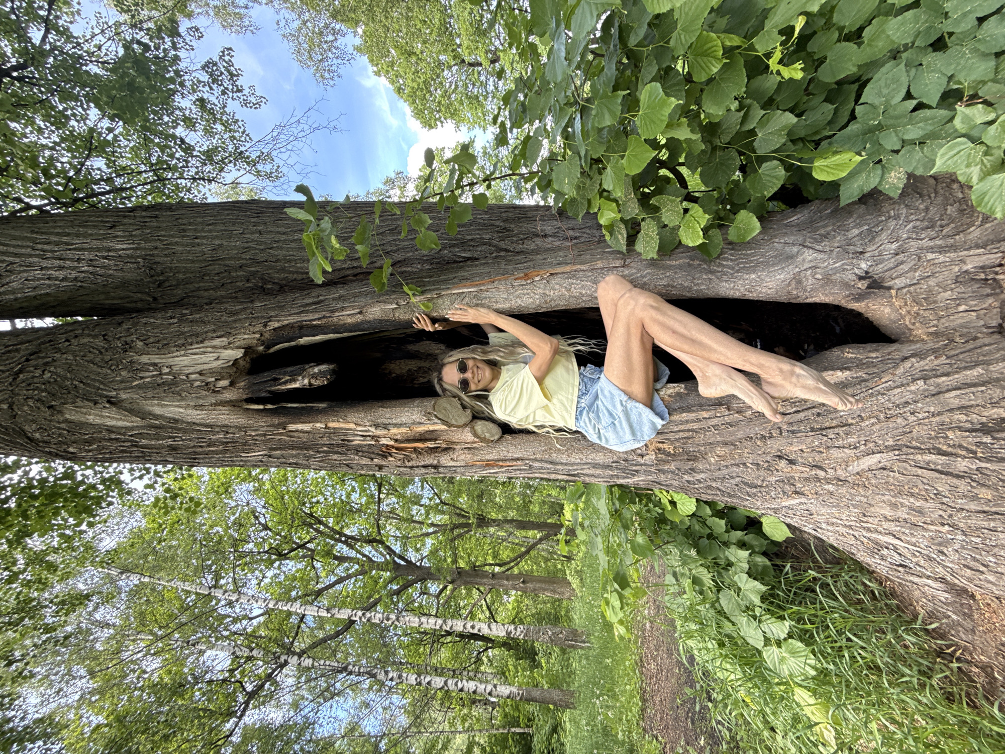 A young woman with long blonde dreadlocks, wearing sunglasses, a light yellow t-shirt, and denim shorts, is lying inside a large, hollowed-out fallen tree trunk in a forest. She is smiling broadly and looking towards the camera, with her arms raised and hands resting on the inside of the tree. Her bare legs extend out of the hollow. The tree trunk, characterized by rough bark, dominates the foreground, running diagonally across the frame.
The surrounding environment is a lush green wooded area, indicative of daytime with bright sunlight. Above the tree, a clear blue sky with some white clouds is visible through a canopy of green leaves from various trees. To the left and in the background, numerous trees with dense green foliage are present, including distinct birch trees with their characteristic white bark. A dirt path or trail can be seen winding through the grass and undergrowth in the lower right background. The scene suggests a relaxed and joyful atmosphere. There is no visible text in the image. The location context is Rusanovo, Russia.