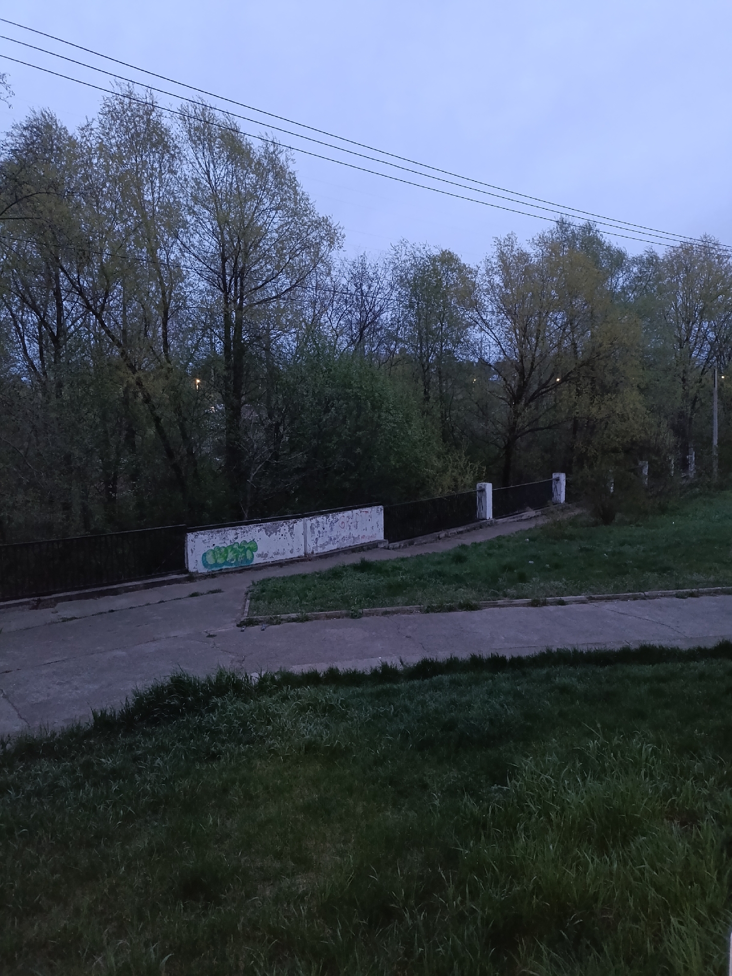 This image depicts a dusky outdoor scene in Chaikovsky, Russia. The foreground features a grassy area leading to a paved walkway. A low concrete wall, partially covered in graffiti, runs alongside the walkway. Behind the wall is a dense area of trees and foliage. Three power lines stretch across the top of the image against a cloudy sky. A street lamp is faintly visible among the trees. The overall scene suggests a quiet, possibly neglected, park or roadside area.