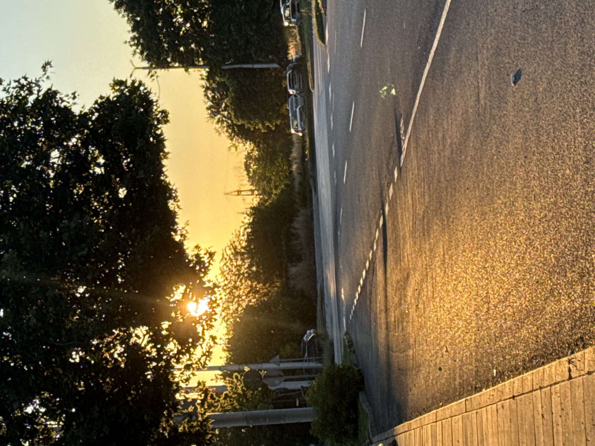 The image depicts a street scene in Plovdiv, Bulgaria, during what appears to be sunset or sunrise, given the warm, golden light illuminating the asphalt and reflecting off the leaves of a large tree in the foreground. The sun is partially obscured by the tree's canopy, casting rays of light through the foliage. The street itself is asphalt, with dashed white lines marking lanes and a solid white line to the right. To the left of the street is a wooden sidewalk or pathway.
Several cars are parked or driving on the street in the mid-ground and background, including what appear to be several SUVs or larger vehicles. There are also trees and bushes lining the street, with some utility poles and streetlights visible. In the far background, industrial structures and a transmission tower can be seen against the bright sky. There are no people clearly visible in the image. The overall impression is a quiet, possibly residential or suburban street bathed in the soft, warm light of either dawn or dusk.