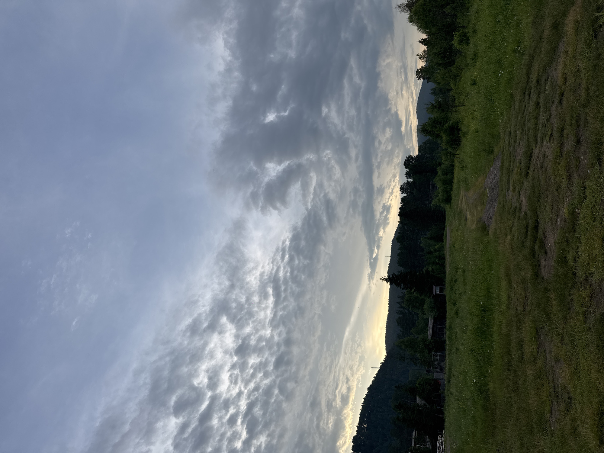 The image depicts a twilight scene in a rural or suburban area, characterized by a wide expanse of grassland leading towards a dense line of trees and hills in the background. The sky is filled with dramatic, textured clouds, suggesting a transition from day to night or potentially approaching weather. The lighting is subdued, with a soft glow visible on the horizon behind the trees, indicating the setting or rising sun. In the mid-ground, several structures, appearing to be small buildings or sheds, are partially obscured by the foliage, hinting at a small settlement or isolated dwellings. A faint dirt path is visible winding through the grass, suggesting human passage or a rudimentary road. The overall impression is one of natural beauty and tranquility, with a hint of human presence within a wilderness setting. The location is identified as the city of Narva, Russia.