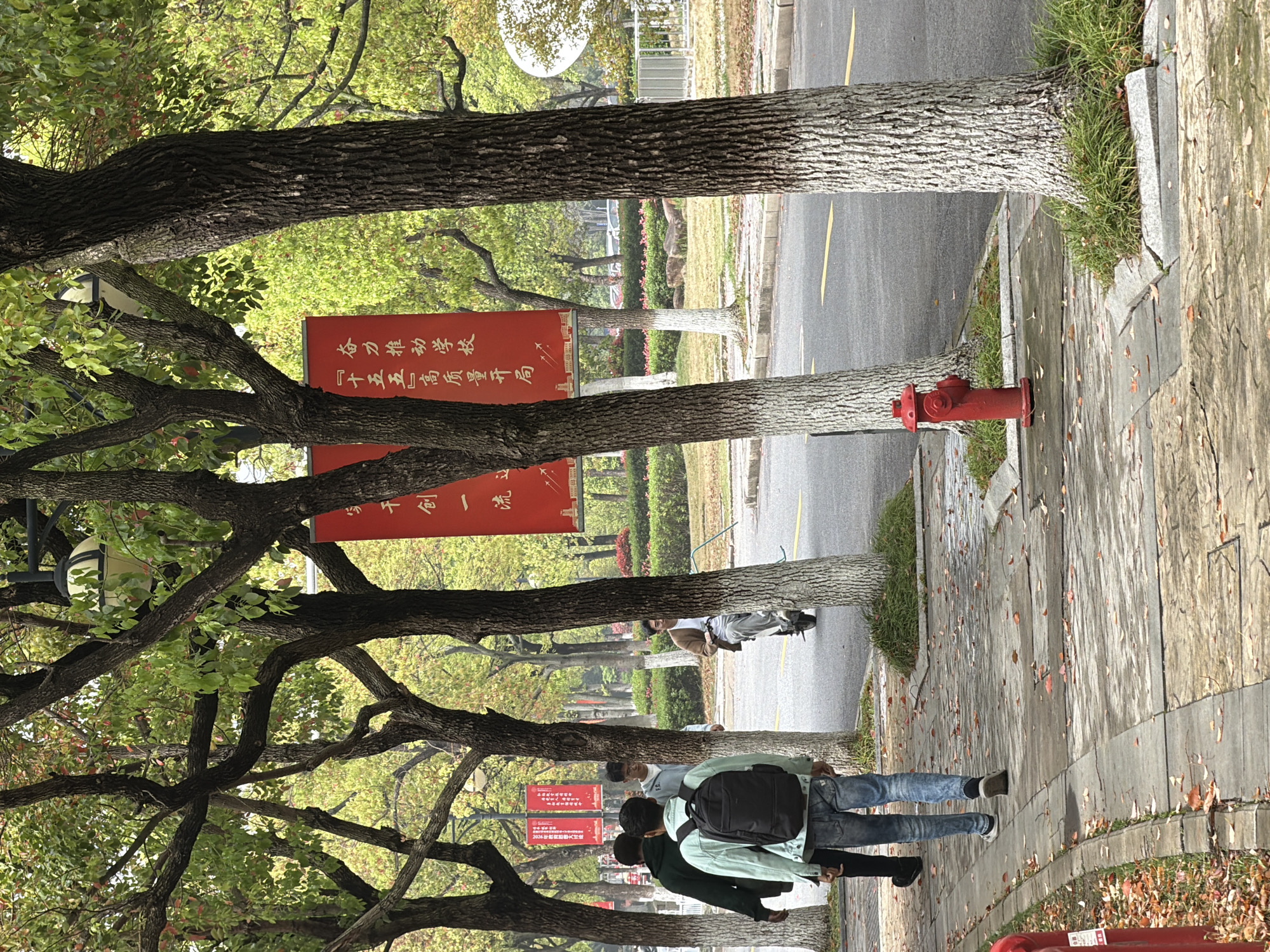 The image depicts a street scene in Jiangning District, China. Trees line the sidewalk, casting shadows and framing red banners with Chinese characters. A red fire hydrant stands near the curb. A group of people, primarily young men, are walking along the sidewalk. The overall impression is of an urban environment with a mix of nature and human activity.