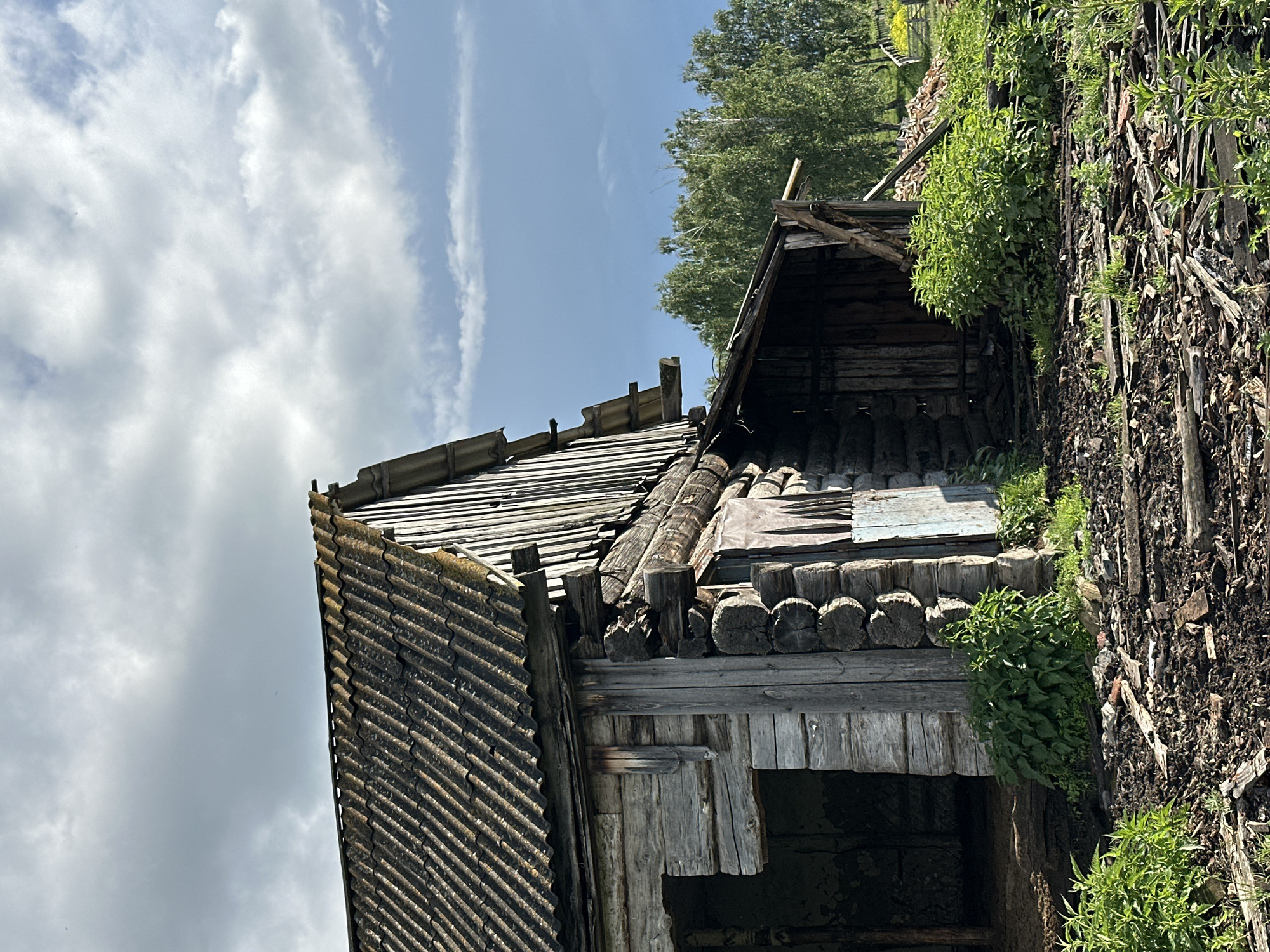 An old, weathered wooden barn stands in a rural outdoor setting under a cloudy sky. The barn's roof is made of corrugated material, and the walls are constructed from rough-hewn logs. An open doorway reveals the dark interior of the structure. In front of the barn, the ground is covered with debris, including broken pieces of wood and scattered vegetation. Green bushes and trees are visible in the background, suggesting a natural, possibly overgrown, environment. The overall scene conveys a sense of disrepair and neglect.