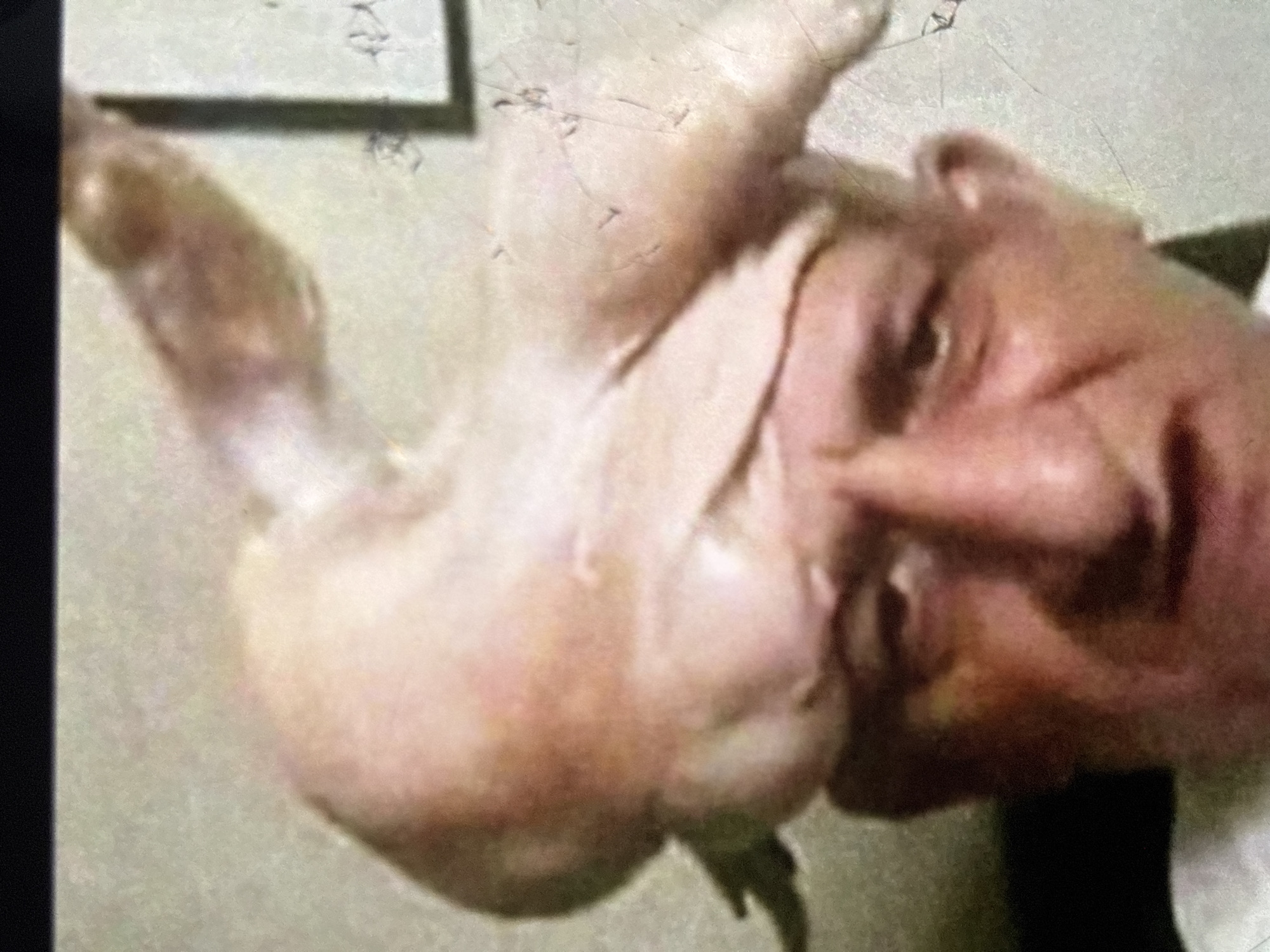 The image shows a close-up of a person's face, partially obscured by a cooked chicken. The person's face is reddish-pink and appears to be in profile, with their eyes closed or averted. Their nose and forehead are visible, and they have short, dark hair. The chicken is light brown and appears to be whole, with its legs and wings visible. It is positioned in front of the person's face, with its body pressed against their cheek and nose. The background is out of focus and appears to be a wall with some faint markings or text. The lighting is somewhat dim and appears to be artificial. The overall impression is somewhat unusual and potentially unsettling, with the chicken seemingly positioned in an intimate or aggressive manner against the person's face. Without additional context, it is difficult to determine the specific activity or event taking place, the emotions of the person, or the exact location. However, the presence of a cooked chicken suggests a context related to food or possibly a ritualistic or symbolic act. The faint markings in the background could be part of a sign or document, but they are too indistinct to read.