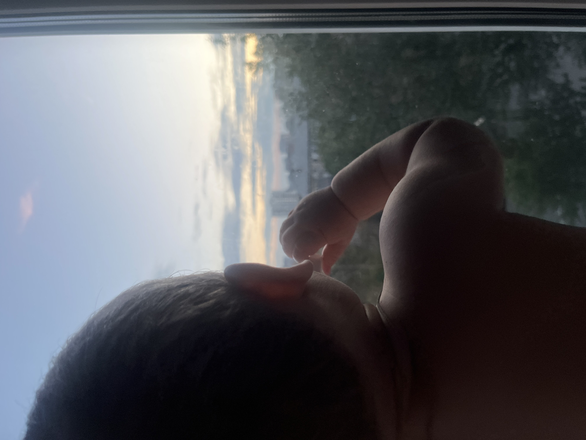 The image shows a close-up of a baby's head and upper back, viewed from behind. The baby is facing a window, looking out at a city skyline at dusk. The sky is a soft blue with hints of pink and orange clouds. Buildings and trees are visible in the distance. The baby's hand is near its face. The setting appears to be an urban environment. There is no specific information in the image to indicate the location is Chelyabinsk, Russia.