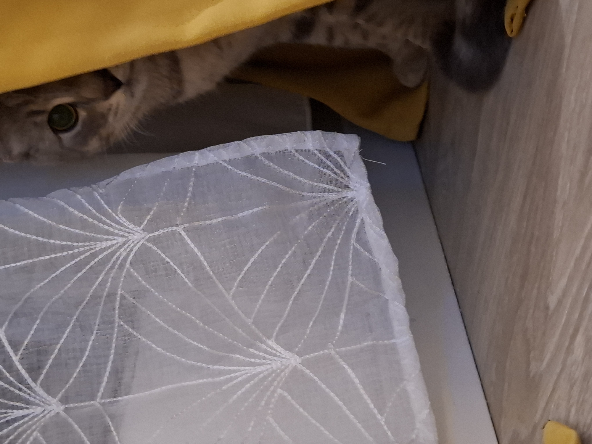 A grey tabby cat peeks out from behind a bright yellow curtain next to a white sheer curtain with a geometric pattern. The cat's green eyes are visible. The curtains are partially covering a white baseboard. The floor is made of light brown laminate wood. A small yellow object is on the floor in the lower left corner, and another in the lower right corner. The scene appears to be indoors. There are no people visible. The image does not provide enough information to determine a specific location in Zemun Urban Municipality, Serbia.