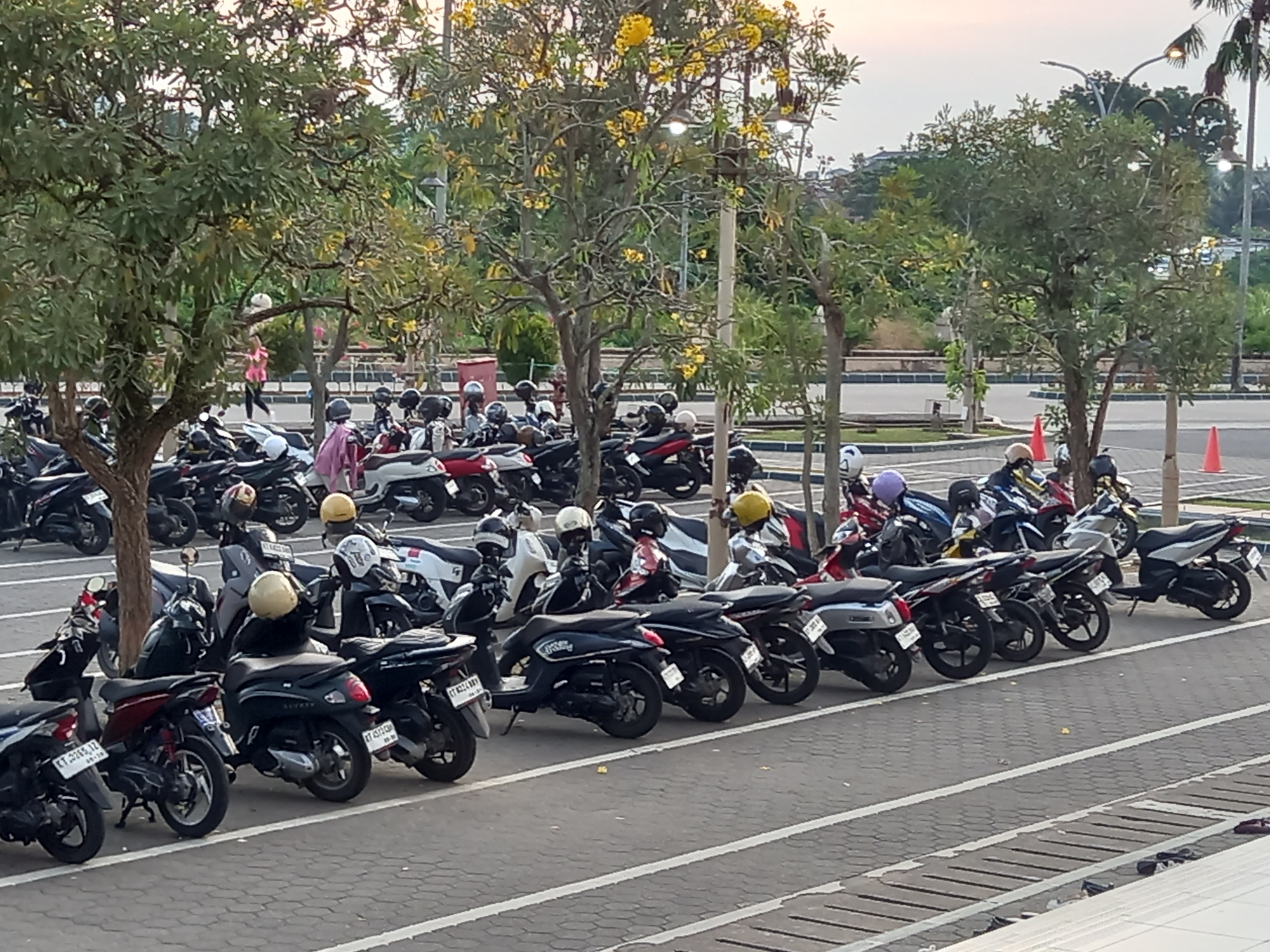 The image depicts a parking lot filled with a variety of parked motorcycles, primarily scooters, in an outdoor setting. The motorcycles are arranged in rows on an asphalt surface marked with white lines. Several trees with green foliage and some with yellow flowers are scattered throughout the scene, providing shade. In the background, there are buildings, a street lamp, and a glimpse of a sky that suggests it might be late afternoon or early evening. One person, wearing a pink top and black bottoms, is visible walking in the distance, appearing to be within the parking area or a nearby walkway. The motorcycles display various colors, including black, red, white, and blue, and many have helmets on their seats or handlebars. The overall impression is that of a typical urban parking facility in a tropical or subtropical region, likely in Samarinda, Indonesia, given the presence of similar parking areas and vegetation commonly found there.