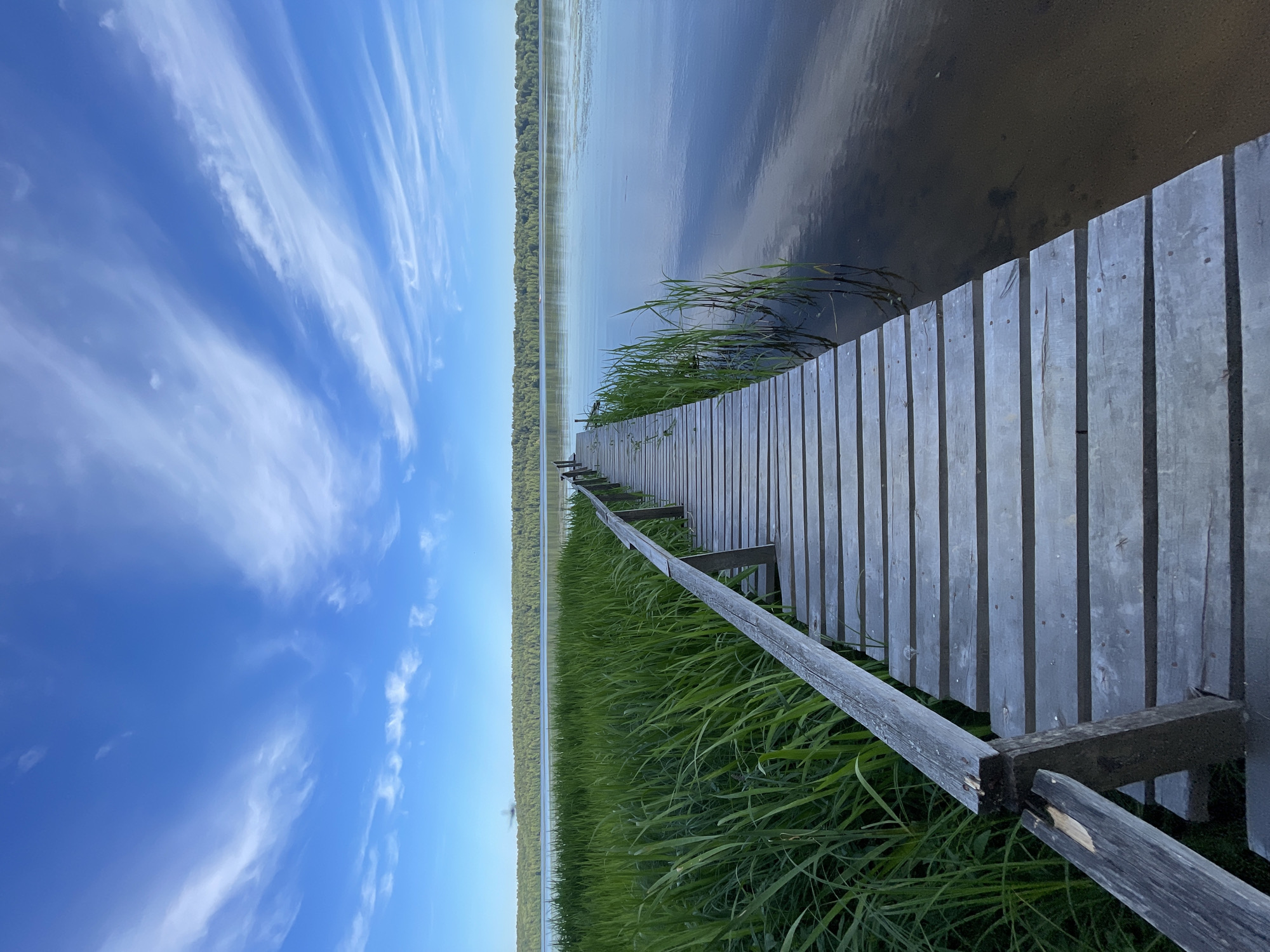 A wooden dock extends into a calm body of water, bordered by lush green grass and reeds. The water reflects the sky, which is a vibrant blue with wispy white clouds. Across the water, a dense forest stretches along the horizon. The dock appears to be made of weathered grey wood planks. A railing runs along the side of the dock. The scene evokes a sense of peace and natural beauty, likely captured on a clear day. The orientation of the image is vertical. The location context is Zarechny, Russia.
