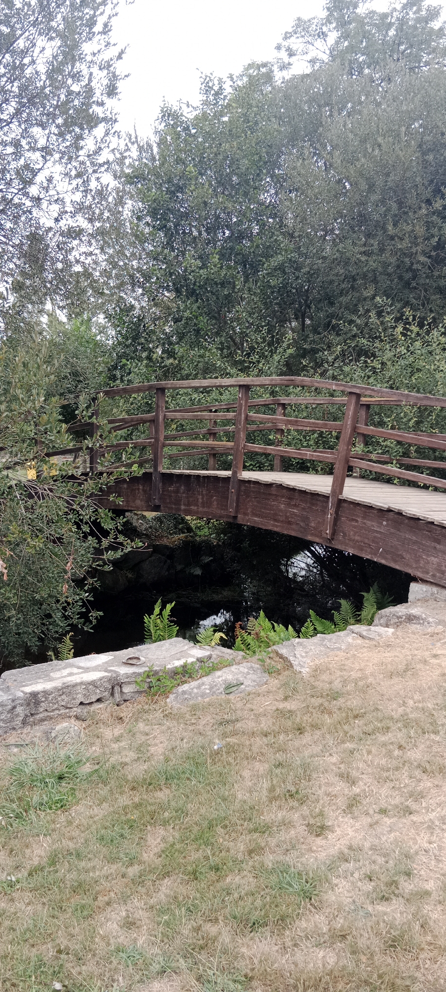A wooden bridge arches over a dark body of water, with lush green foliage framing the scene. The bridge is constructed from dark, weathered wood, with a simple railing on either side. The water below appears deep and still, with rocks visible along the banks. Ferns and other greenery grow along the water's edge. The area around the bridge is covered in dry grass and large stones. The sky is overcast, suggesting a cloudy day. This image was taken in the city of O Corgo, Spain.