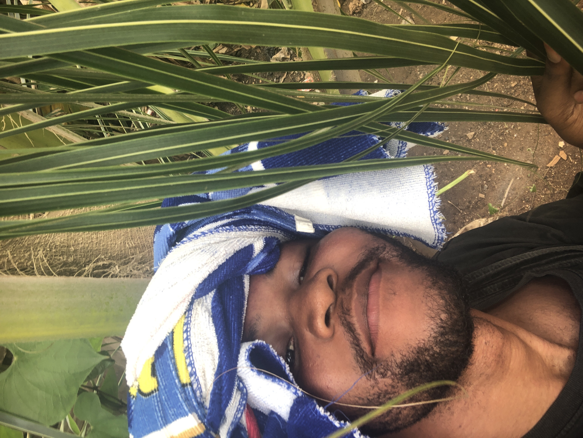 A person lies on the ground, covered by a blue and white towel, under a mass of green leaves with yellow stripes. The person has dark skin, closed eyes, and a beard. A hand holding some of the leaves is visible in the top right corner. The ground is visible beneath the leaves. The location is Unknown, Unknown.