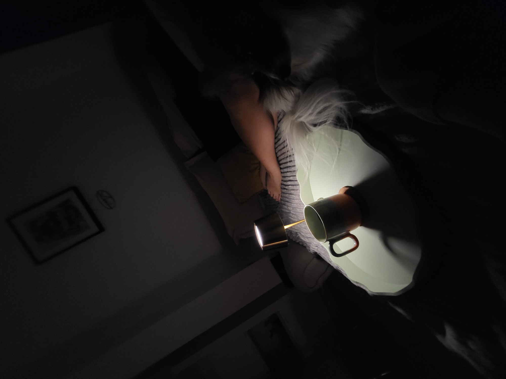A darkened room with a couch is illuminated by a lamp directing light on a coffee mug on the couch. A person, partially visible, is on the couch. The room contains a picture hanging on the wall. The location is unknown and not discernable from the image.