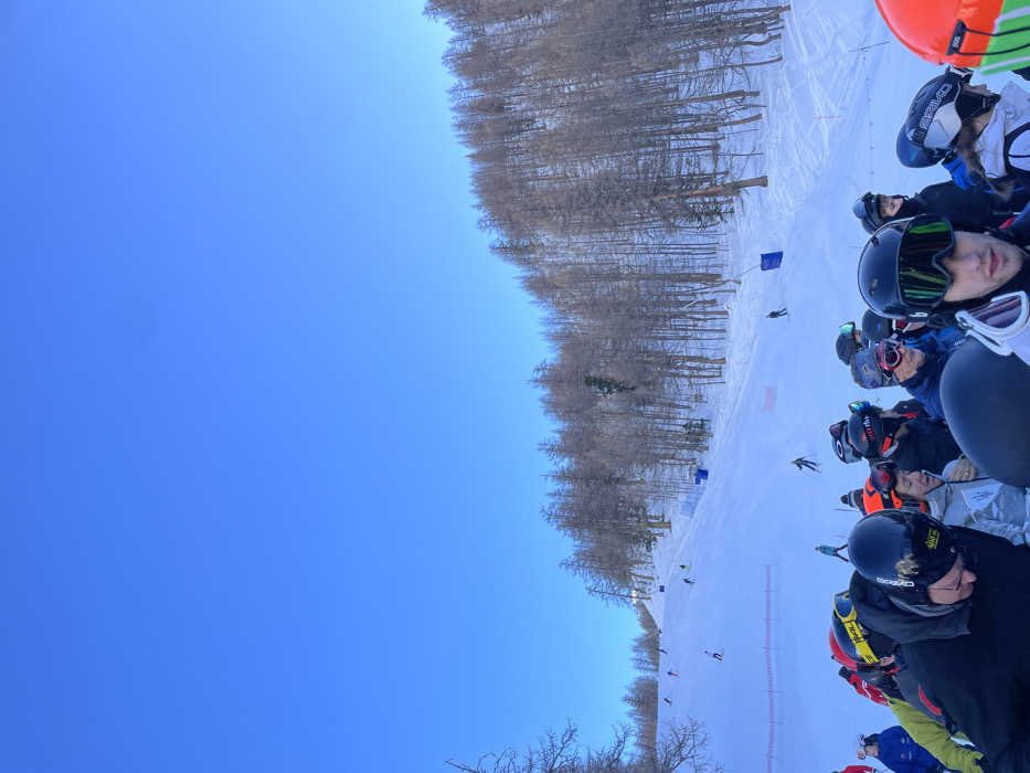 The image captures a vibrant winter scene at a ski resort in Courmayeur, Italy, with a clear blue sky overhead. The perspective is from the side of a ski slope, looking down towards the course and across to a forested mountainside.
In the foreground, a group of people, likely skiers or spectators, are clustered together. Most are wearing ski helmets and goggles, suggesting they are prepared for or participating in skiing activities. One person in a black helmet and green-tinted goggles looks directly towards the viewer. Visible helmet brands include "SPY," "POC," "BRIKO," and "O'NEILL." Part of a bright orange inflatable object, possibly a safety barrier or marker, is visible at the very edge of the frame.
The midground features a wide, snow-covered ski run. Several skiers can be seen making their way down the slope, some appearing to navigate around blue and red gates, indicating a slalom or giant slalom course. This suggests an organized event, such as a race or training session. The pristine snow of the slope contrasts with the darker line of trees in the background.
The background is dominated by a dense forest of bare, deciduous trees, likely larch, covering the mountain slopes. The trees are brown and leafless, typical of a winter alpine landscape. Above the forest, the sky is a brilliant and cloudless blue, indicating excellent weather conditions for skiing. The overall impression is one of a busy, active day at a scenic ski destination.