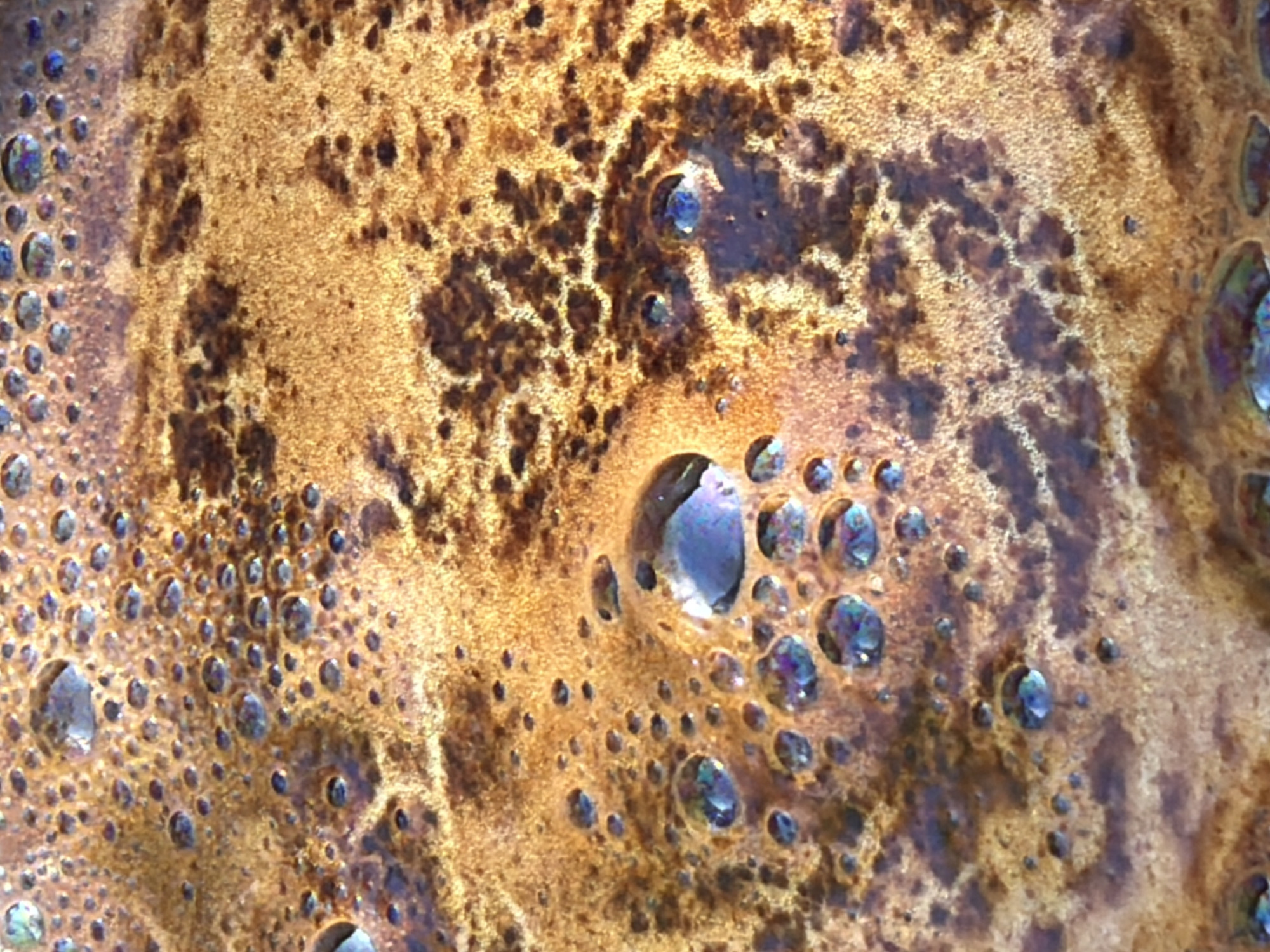 The image is an extreme close-up, abstract view of a liquid surface, likely water with some sort of residue or scum. The dominant colors are various shades of brown, gold, and amber. The surface is covered in a multitude of small, irregular bubbles, some of which appear to have a iridescent, oil-slick-like sheen. Larger, more prominent bubbles are also visible, with some appearing to be broken or collapsing. There are darker, more concentrated areas of discoloration on the surface, creating a mottled or marbled effect. The overall texture is foamy and uneven. The lighting suggests a bright, possibly natural light source reflecting off the wet surface. The image is devoid of any identifiable landmarks or context, making it impossible to determine its location within any city. There are no people, animals, or discernible objects present in the scene.