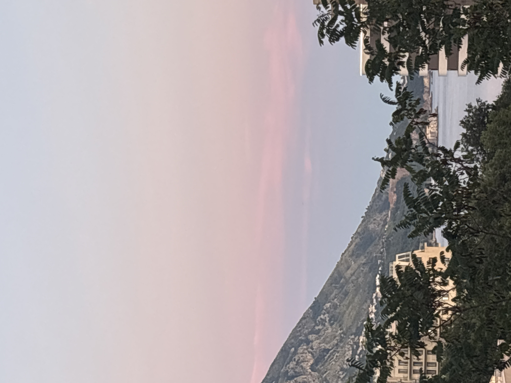A vertical, eye-level shot captures a serene coastal landscape in Bečići, Montenegro, during twilight. The sky transitions from a pale, rosy pink near the horizon to a soft, light blue at the top. In the mid-ground, a steep, verdant mountain slopes down from the left, its rugged texture partially obscured by the soft light. Nestled at the base of the mountain and along the coastline are several buildings, some appearing to be hotels or apartment complexes with multiple floors and balconies, illuminated by ambient light.
In the foreground, lush green foliage, including trees with dark leaves, partially frames the view. The trees create a natural border, with branches and leaves appearing in the lower corners and along the bottom edge of the image. The sea is visible in the background, a calm expanse of water that meets the distant coastline. The overall atmosphere is tranquil and picturesque, indicative of the early evening hours. There are no visible people or animals in the frame. The scene is static, offering a peaceful view of the natural and built environment.