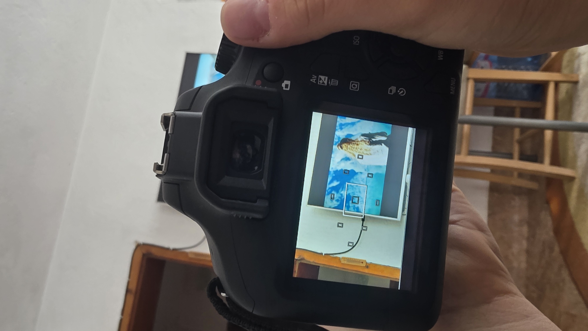 A person's hand holds a black DSLR camera, tilted slightly to the right, showing its rear display and some top controls. The camera's screen, oriented vertically, prominently displays a photograph of a large bird (possibly an eagle or hawk) in mid-flight against a bright blue sky with white clouds. Several small white squares, likely autofocus points, are visible on the screen, with one central square highlighted by a larger white outline, indicating a selected focus area.
Above the screen, on the camera body, text "ISO" is clearly visible, along with an "Av" mode dial marking and various photographic icons (including what appears to be for White Balance and Menu). The camera's viewfinder is visible to the left of the screen.
In the background, a section of a white wall is seen on the left. On the right, partially obscured by the camera, is a wooden structure resembling a ladder or shelves. Another dark screen or monitor, also displaying an image with blue tones, is partially visible in the far background on the left. The scene is indoors, with no specific time of day or weather discernible from the room itself, though the image on the camera display depicts a clear outdoor sky. No explicit location cues are visible within the image to suggest Blagoevgrad, Bulgaria.