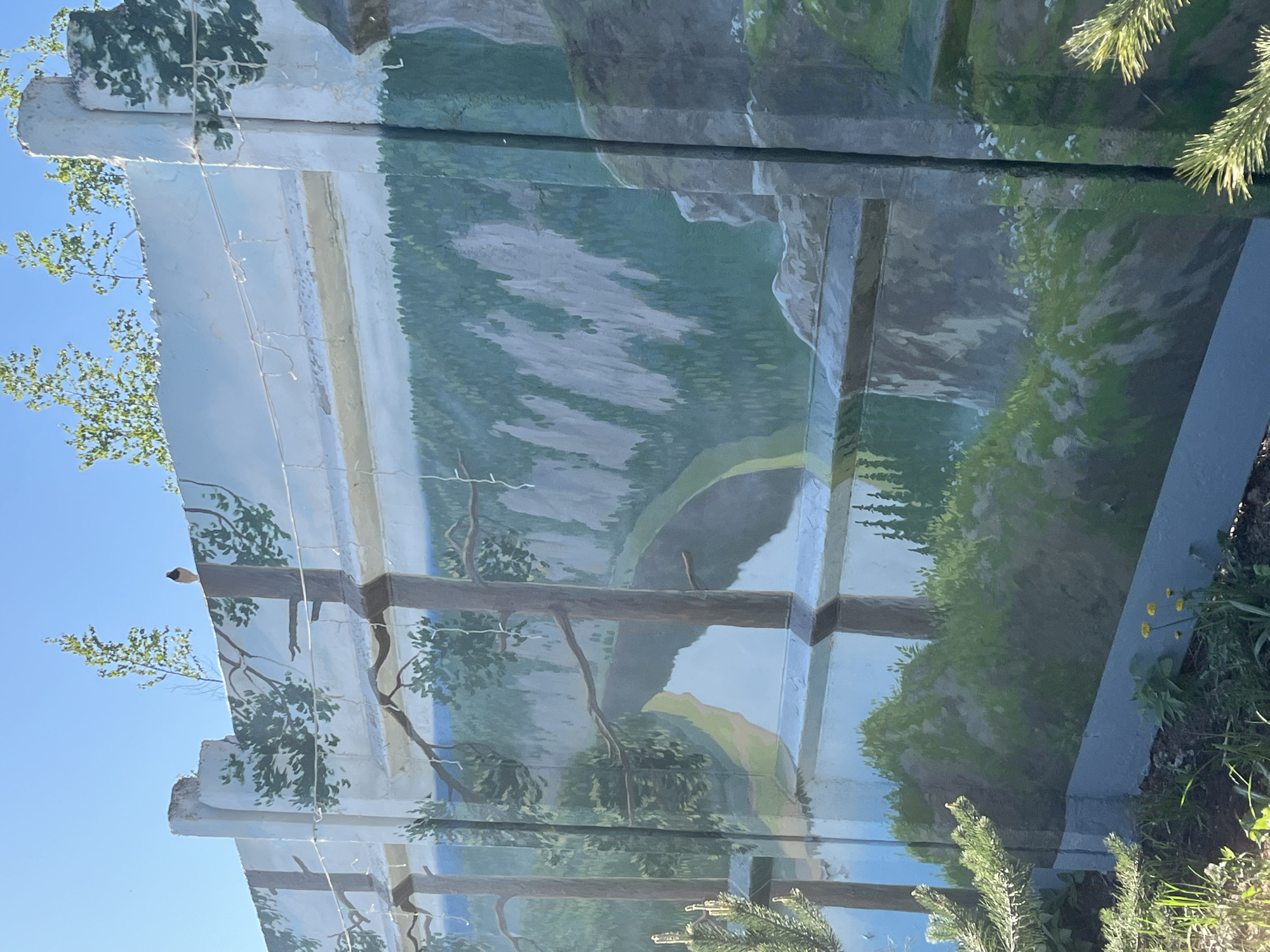 The image depicts a large, outdoor mural in Chaikovsky, Russia. The mural is painted on a concrete structure and depicts a landscape scene of mountains and a body of water. The mural appears to be deteriorating, with cracks and weathering visible. Vegetation, including trees and grass, grows around the base of the structure and on top of the mural. The sky is blue.