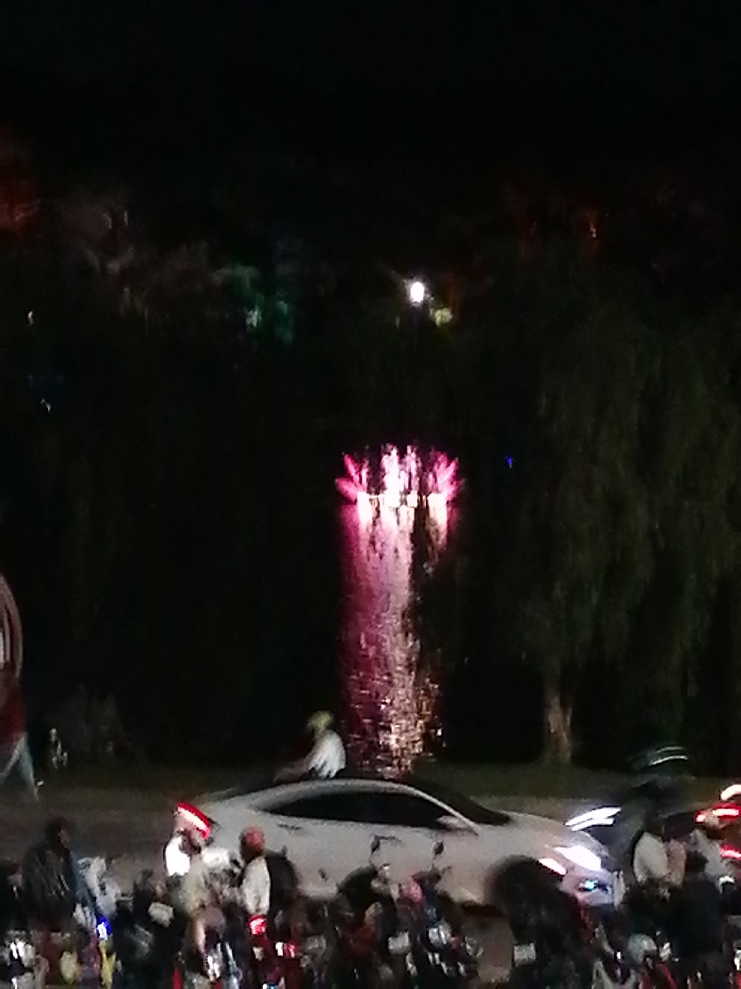 At night in Da Lat, Vietnam, a body of water reflects pink light in the background, obscured by foliage. In the foreground, several people are near white vehicles, including a car surrounded by motorcycles. Some individuals are wearing hats.
