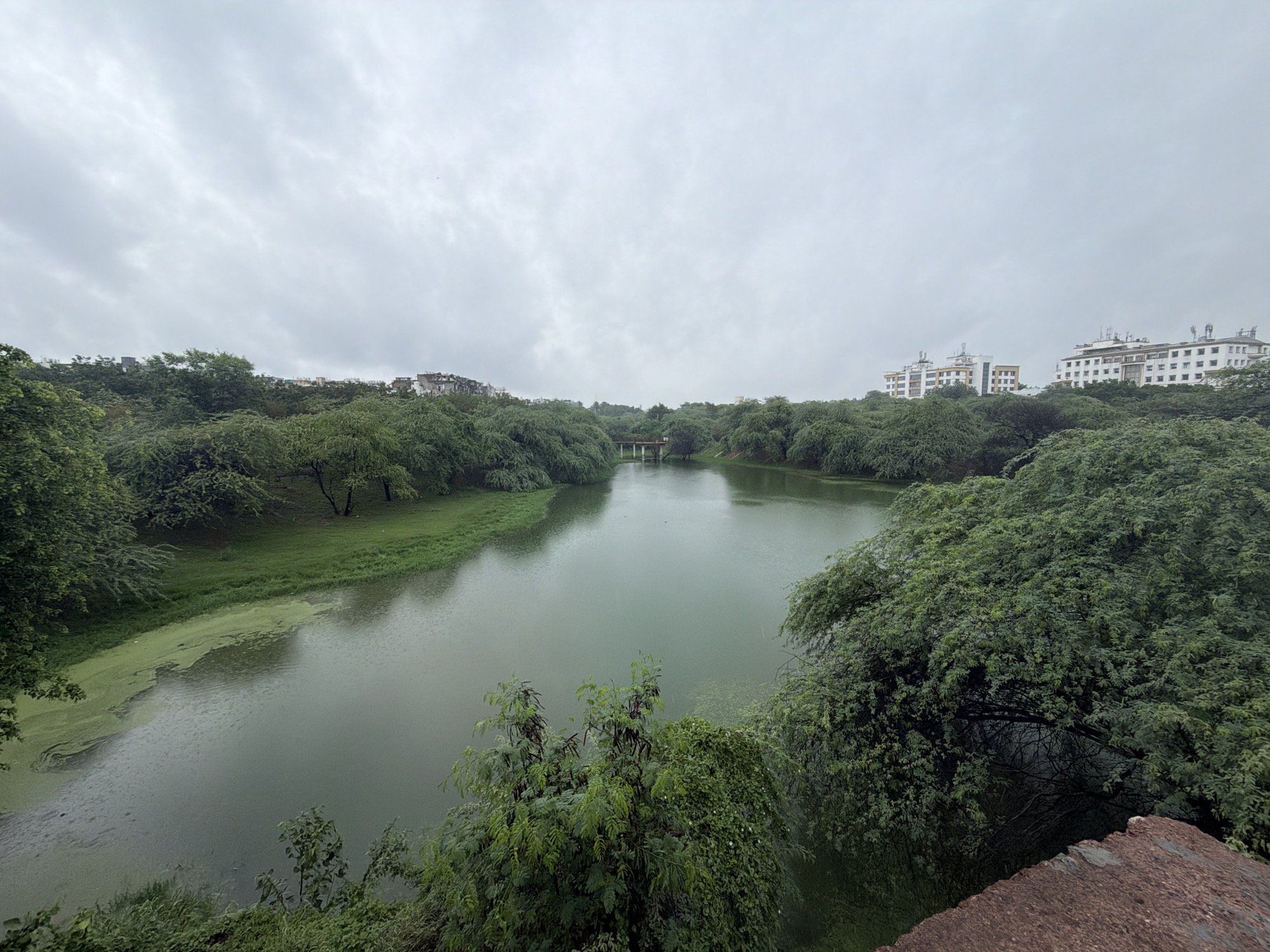 The image depicts a serene water body, likely a lake or pond, surrounded by lush greenery and trees. In the background, modern white buildings with multiple stories and antennas are visible above the treeline, suggesting an urban environment. A small bridge spans the water in the distance. The sky is overcast with grey clouds, indicating a possibly rainy or humid day. The water has a greenish hue and a patch of green algae is visible on its surface. The foreground features dense vegetation and a reddish-brown rocky outcrop. This scene is characteristic of the Sanjay Lake in Delhi, India, a popular recreational spot that blends natural landscapes with urban infrastructure. There are no people or any actions taking place in the image.