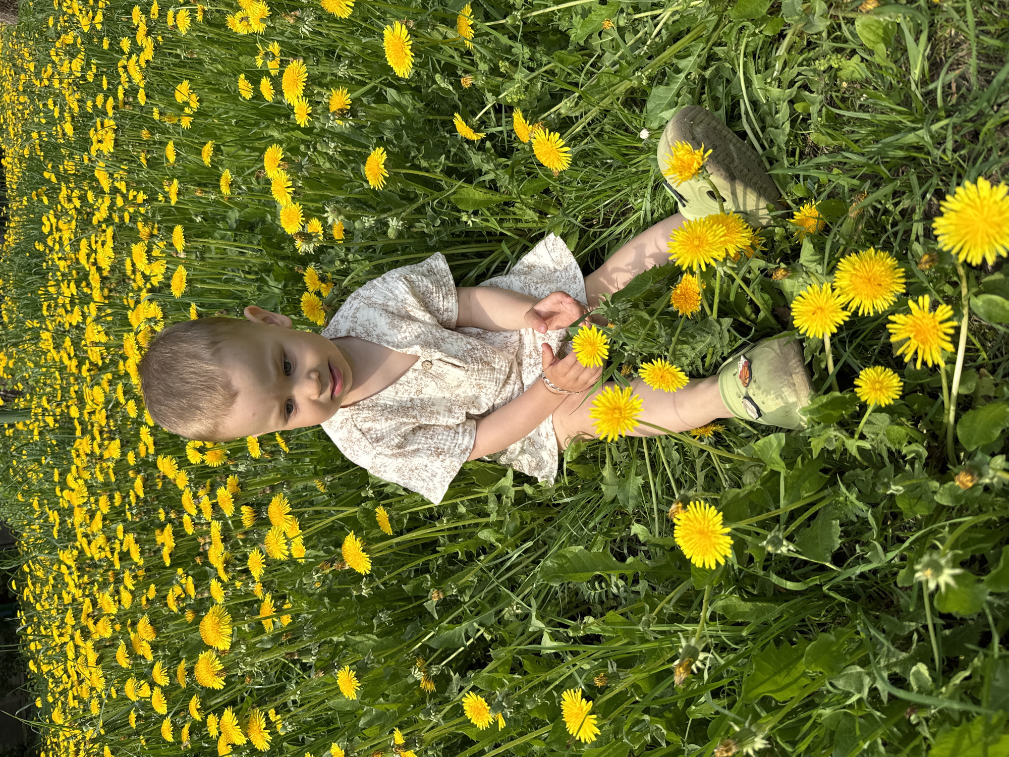 A young child is lying in a field of dandelions in Шебунино, Russia. The child is fair-skinned and wearing a light-colored dress and green patterned shoes. The child's legs are extended, and they are holding a dandelion in their hands. The field is full of bright yellow dandelions and green grass. The image is taken from an overhead perspective.