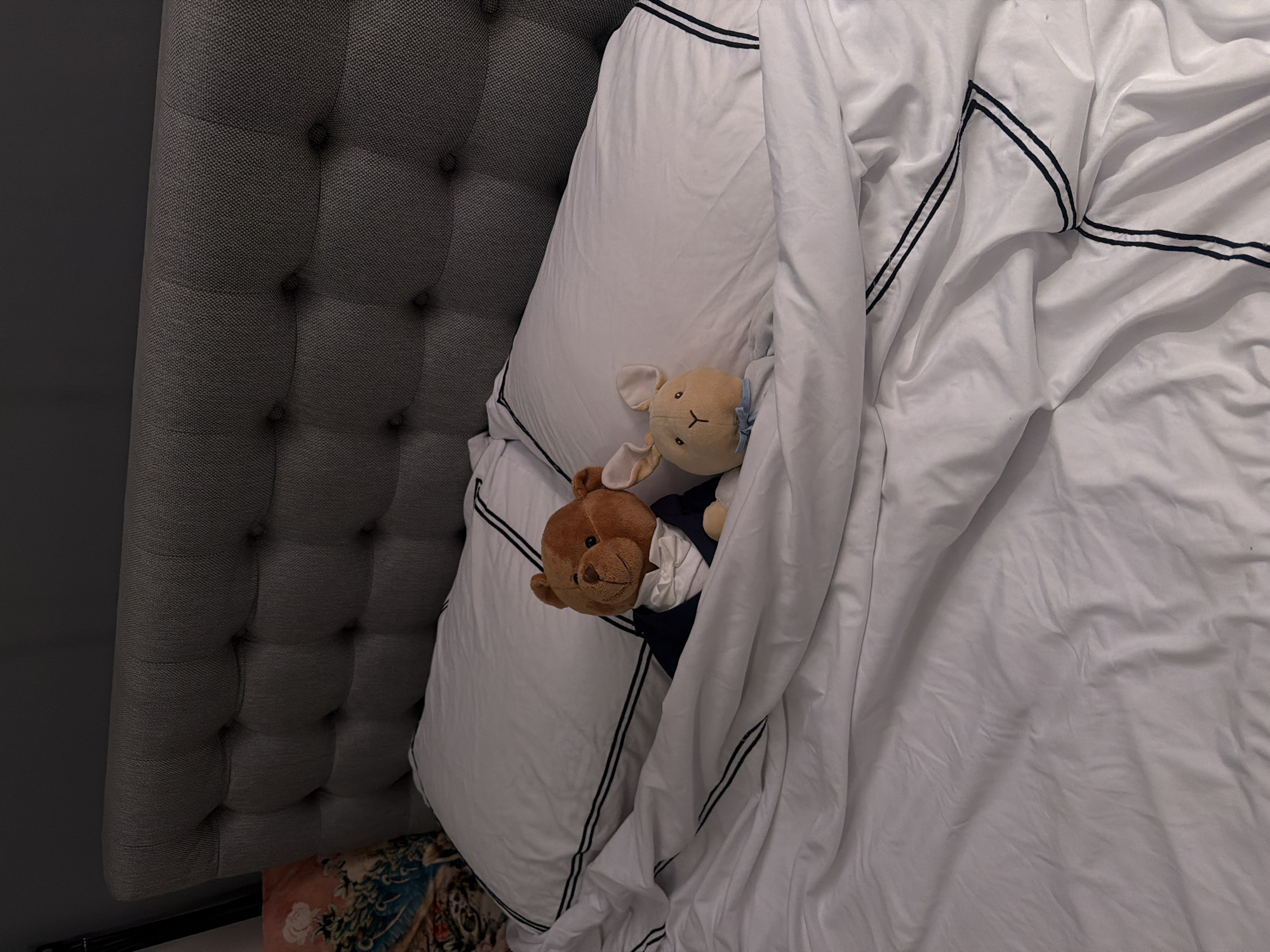 In a dimly lit bedroom, two plush toys are nestled under white sheets on a bed. A brown teddy bear, dressed in a dark blue suit and white bow tie, is positioned on the left. To its right, a lighter brown bunny toy, wearing a blue ribbon around its neck, lies partially covered. The bed features a grey upholstered headboard with button tufting. The linens are white with dark blue trim. The scene is domestic and appears to be an indoor residential setting within the city of Ridderkerk, Netherlands.
