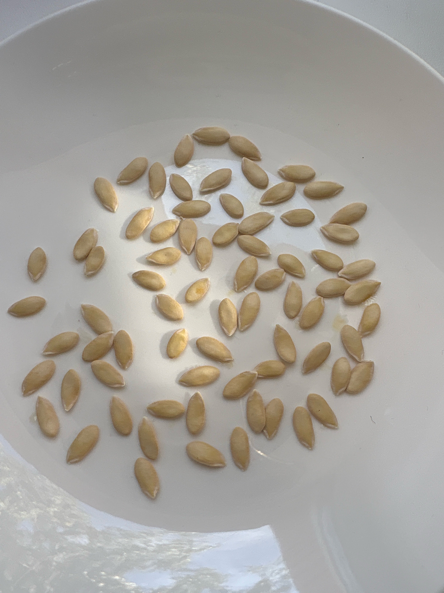 A pile of pale, oval-shaped seeds is scattered on a white, shallow dish. The seeds have a smooth surface and a pointed end, with some appearing to be slightly flattened. The dish is placed on a reflective surface, possibly a table or countertop, which shows a blurred reflection of trees or foliage. The lighting suggests it is daytime, with shadows cast by the seeds indicating a light source from the right. The scene is indoors. This image does not contain information about the city of Муракино, Russia.