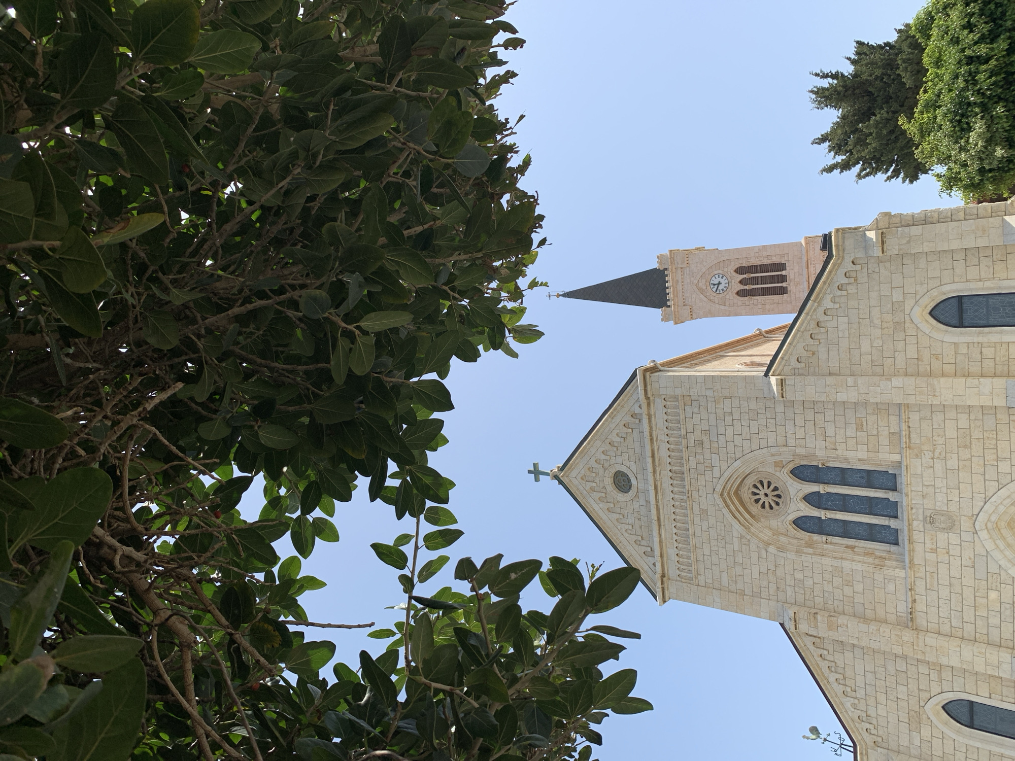 The image is an upward view of St. Peter's Church in Jaffa, Tel Aviv, Israel, partially obscured by foliage. The church is built of light-colored stone with a clock tower visible, indicating the time. Architectural details include a cross at the top of the roof and arched windows. A large tree with green leaves is on the left side of the frame, and other greenery is present on the right. The sky is clear and blue. No people are visible.