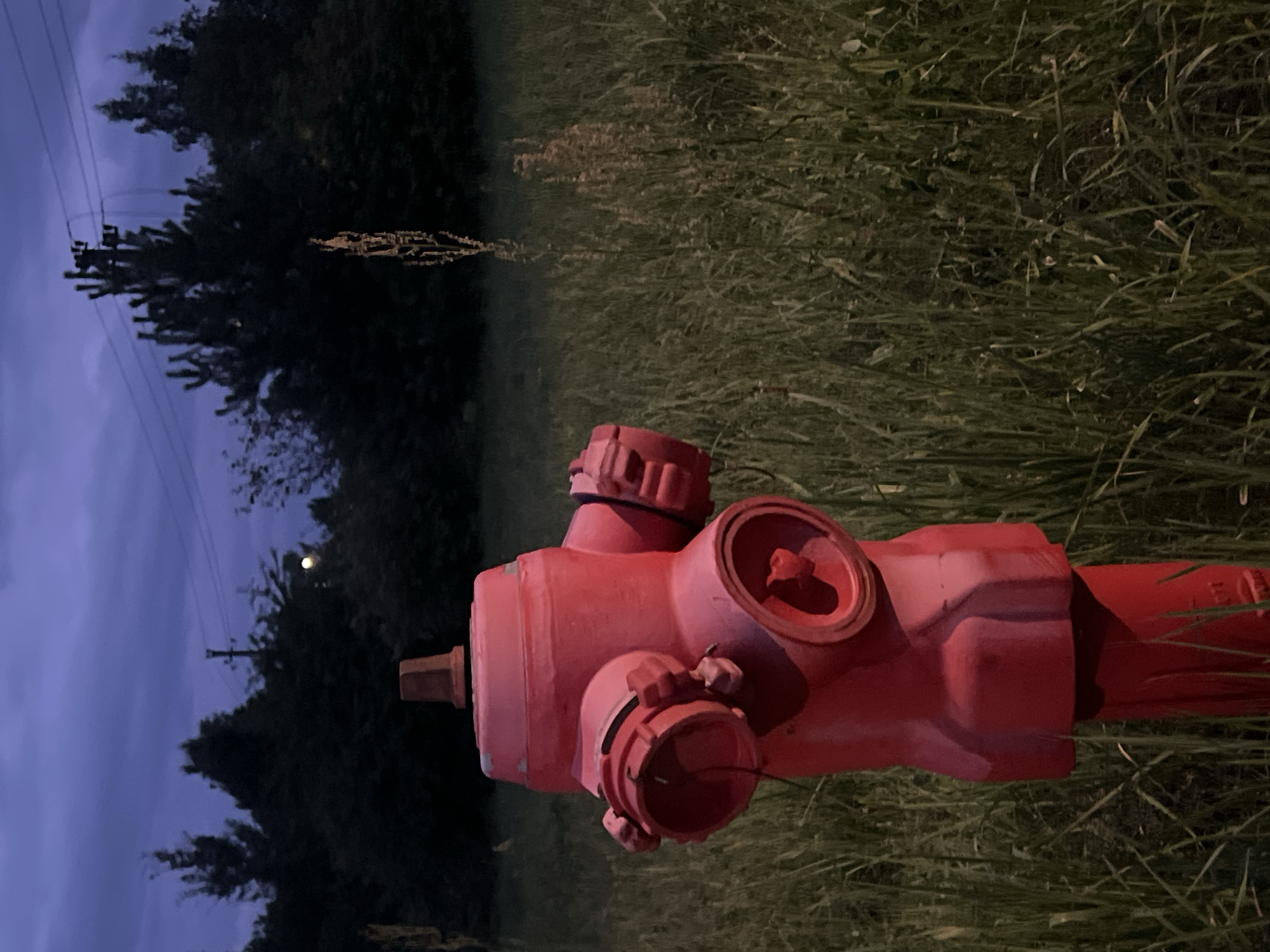A red fire hydrant stands in a grassy field under a twilight sky. The hydrant is the primary subject, positioned in the foreground to the left of the frame. It has a classic design with multiple nozzles. The field is filled with tall, green grass and some dry stalks of plants. In the background, a dense line of dark green trees forms a treeline. Above the trees, the sky is a deep blue with some wispy clouds. A faint, round light, possibly the moon, is visible in the sky, partially obscured by the trees. Power lines and poles are also visible against the sky, suggesting the presence of urban or suburban infrastructure. There are no people or animals visible in the image. The overall impression is one of a quiet, outdoor scene at dusk.