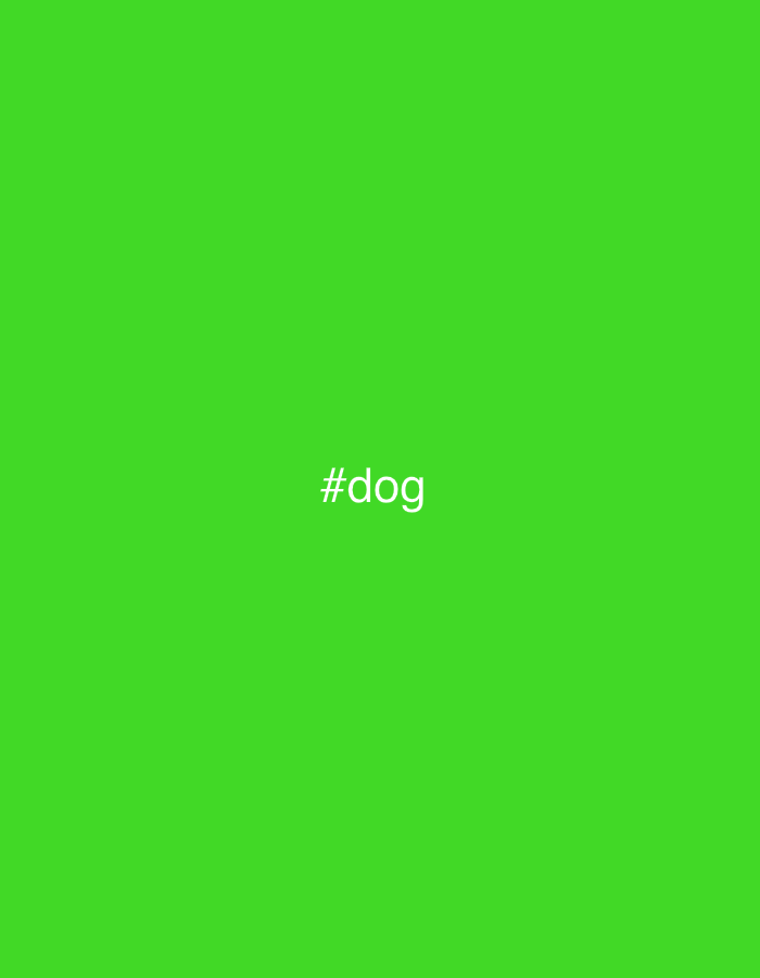 A bright green background fills the image. In the center of the image, the word "#dog" is written in white text. The image is a digital graphic and does not depict a real-world scene. Therefore, it cannot be located in Pavlodar, Kazakhstan or anywhere else.