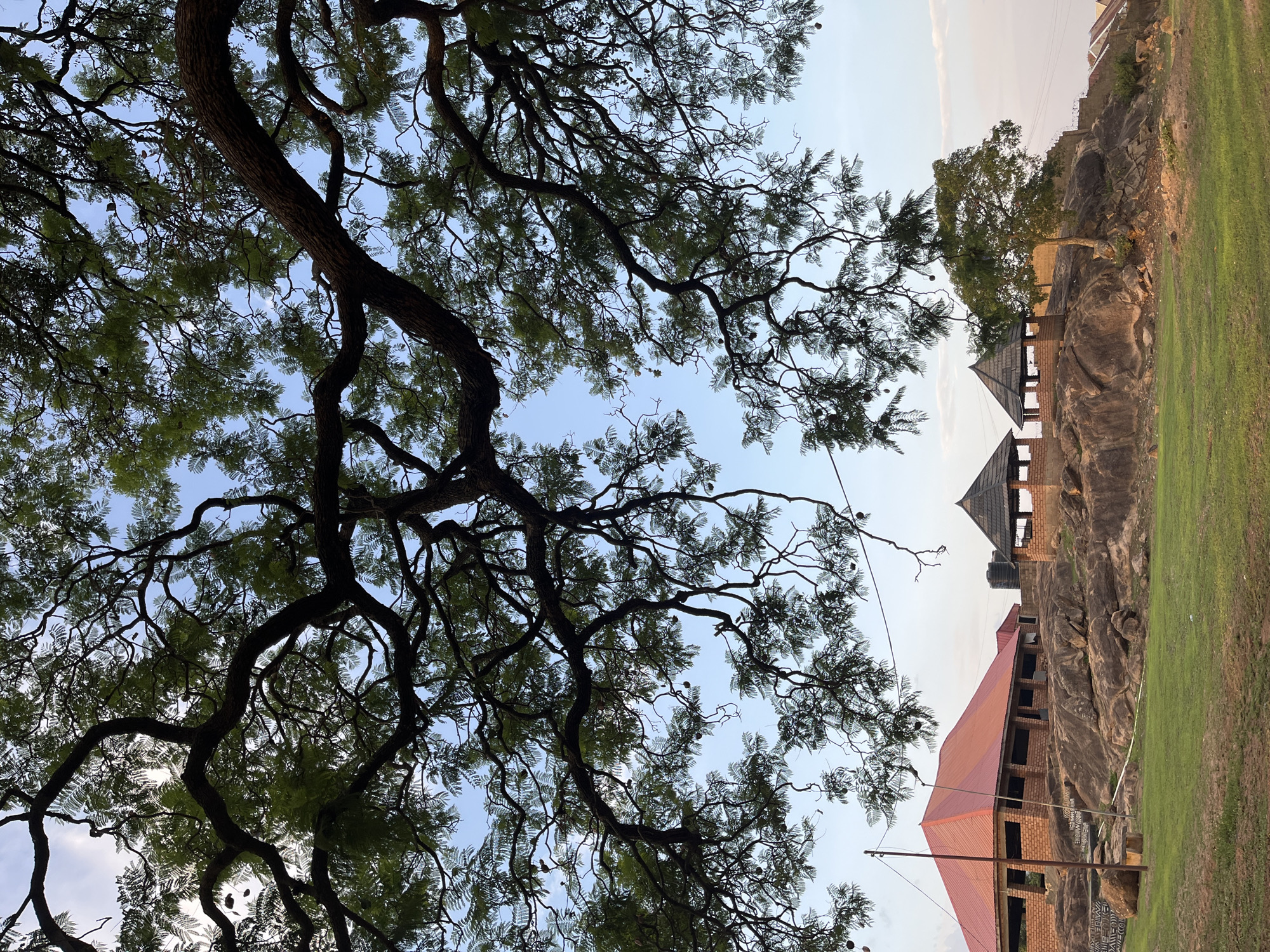 The image shows a view of a building with a red roof, a smaller structure with a peaked roof, and a large tree. The structures appear to be built on or against a rocky outcrop covered with grass. The sky is light blue, and the tree's branches and leaves occupy a significant portion of the frame. Based on the presence of buildings on rocky terrain and general features, it appears to be in the city of Jos, Nigeria. No people are visible.