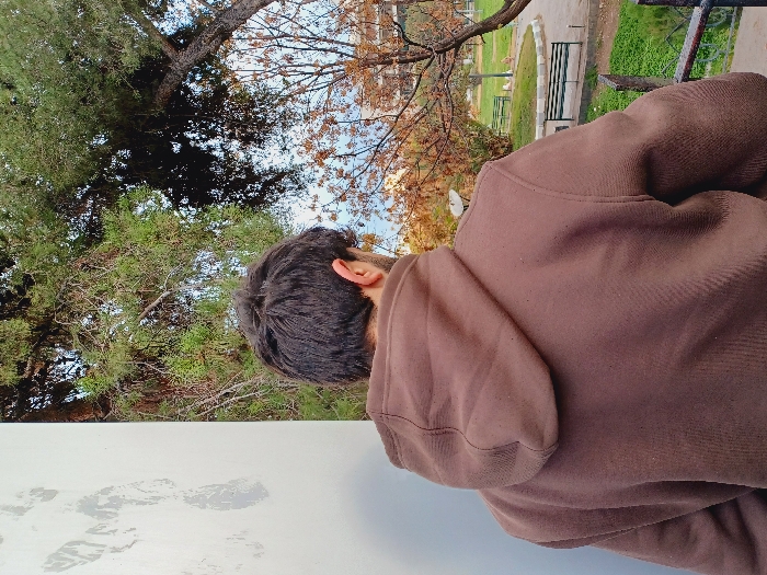 The image displays a male subject from the rear, wearing a brown hooded sweatshirt. His dark hair is visible at the nape of his neck and around his ears. He stands to the right of a light-colored wall, which exhibits vertical smudges or marks. The subject overlooks a public park located in Al-Muhajerin Municipality, Syria. The park's canopy includes dense green coniferous trees on the left and center-top, alongside deciduous trees with sparse, light brown foliage, indicative of a seasonal transition. A white circular satellite dish is partially visible in the mid-ground, obscured by tree branches. The park terrain below features green grassy areas, paved pathways, and at least two green slatted park benches situated on paved sections. Small white birds are observable on the grass near a bench. Faint outlines of distant buildings are discernible through the trees in the background. A dark metal railing forms a partial barrier in the lower right foreground, suggesting an elevated viewpoint. The scene is illuminated by natural daylight.