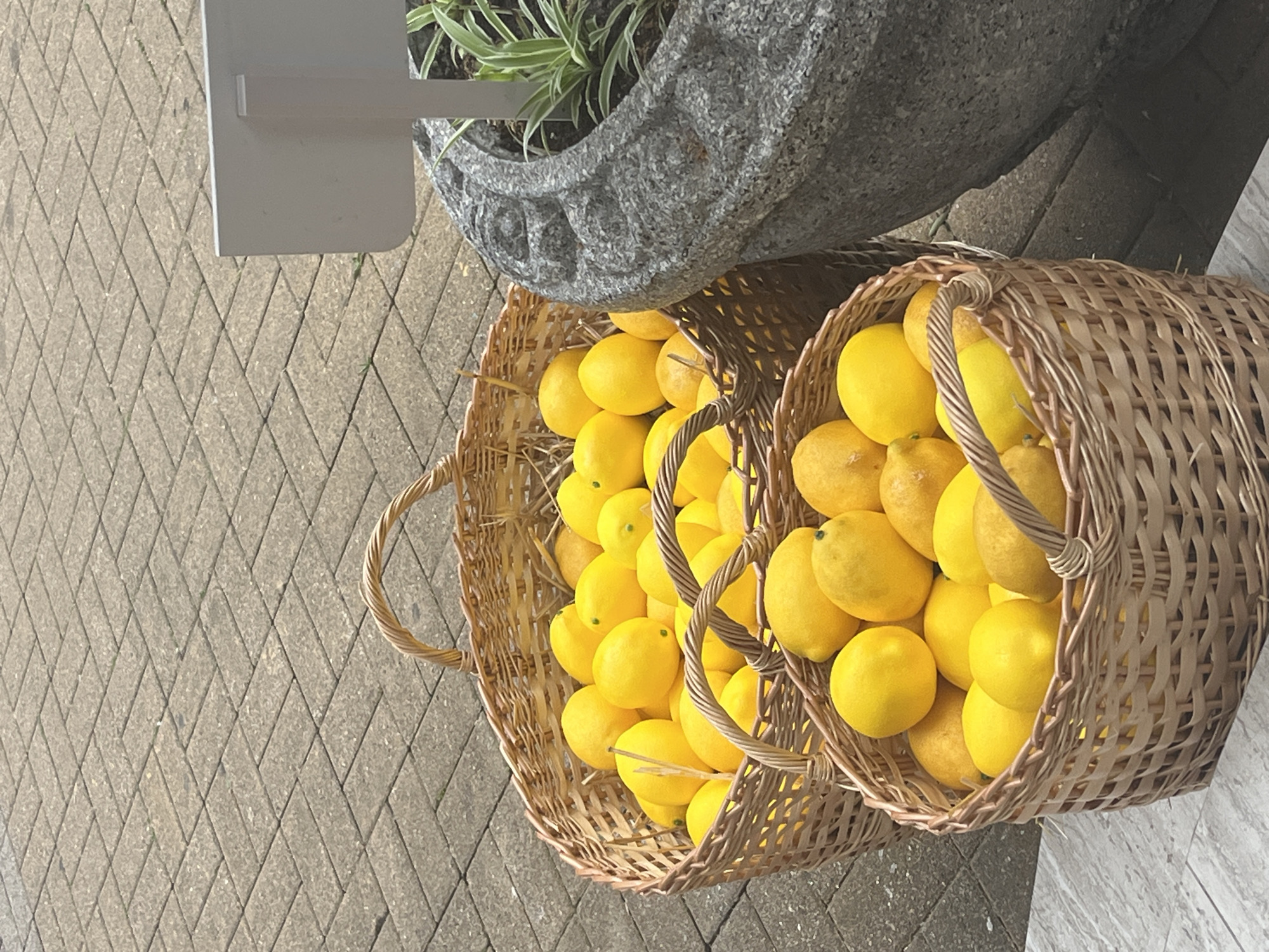 This image captures an outdoor scene likely in Sochi, Russia, showcasing two woven baskets brimming with bright yellow lemons. The baskets are placed on a paved ground, possibly a walkway or patio, made of interlocking rectangular pavers laid in a herringbone pattern. The larger basket, positioned in the background and to the left, is overflowing with lemons, with some spilling over the sides. A smaller basket sits in front of it, also filled with lemons. To the right of the baskets, a large, rough-textured stone planter holds a sparse arrangement of green plants. A white sign on a pole is partially visible behind the planter. The lighting suggests it is daytime, with shadows cast on the ground, indicating a sunny or partially cloudy day. There are no people visible in the frame. The environment appears to be a public space or possibly an outdoor market stall in Sochi.
