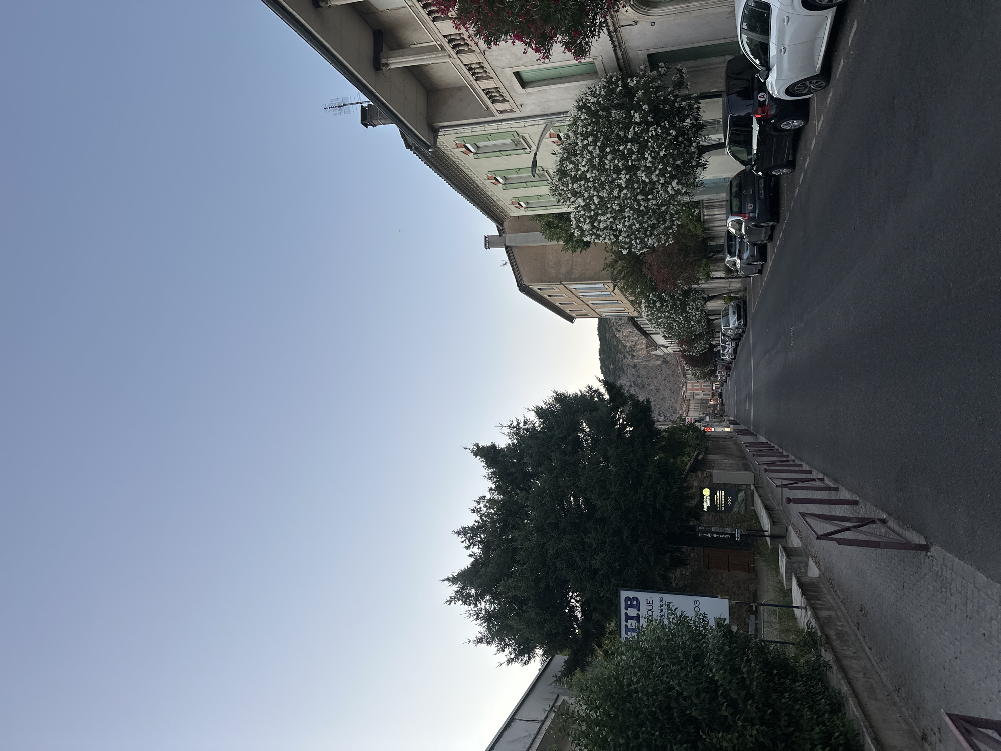 This image depicts a street scene in Anduze, France, at dusk. The perspective is from the sidewalk looking down a paved road lined with parked cars. On the right side of the street, a row of multi-story buildings with traditional architecture, featuring light-colored facades and green shutters, are visible. Flowering trees with white blossoms are planted along the sidewalk in front of some of the buildings. On the left side of the street, a large evergreen tree dominates the foreground, with a large billboard and a hedge to its left. Beyond the billboard, there is a glimpse of a stone wall and more vegetation. The sky is a pale blue, indicating early evening. The street itself is asphalt, with white lines marking parking spaces. The scene is quiet, with no people visible. In the distance, a mountainous landscape is faintly visible.