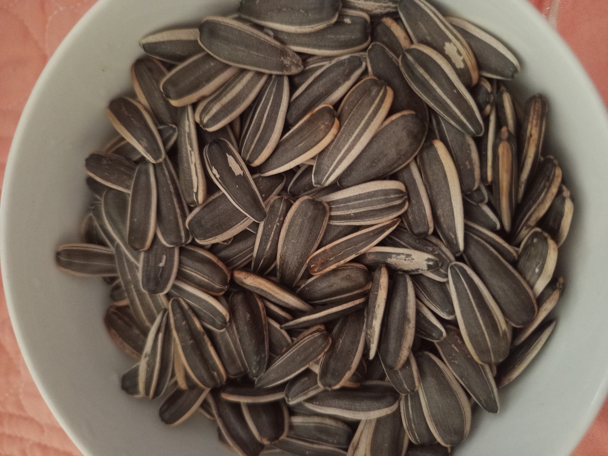 A close-up, overhead shot shows a white bowl filled with sunflower seeds. The seeds are dark gray with white stripes and are piled high in the bowl. The bowl is placed on a pink, textured surface. There are no people or visible structures present in the image. The setting is not identifiable as being in Talapty, Kazakhstan.
