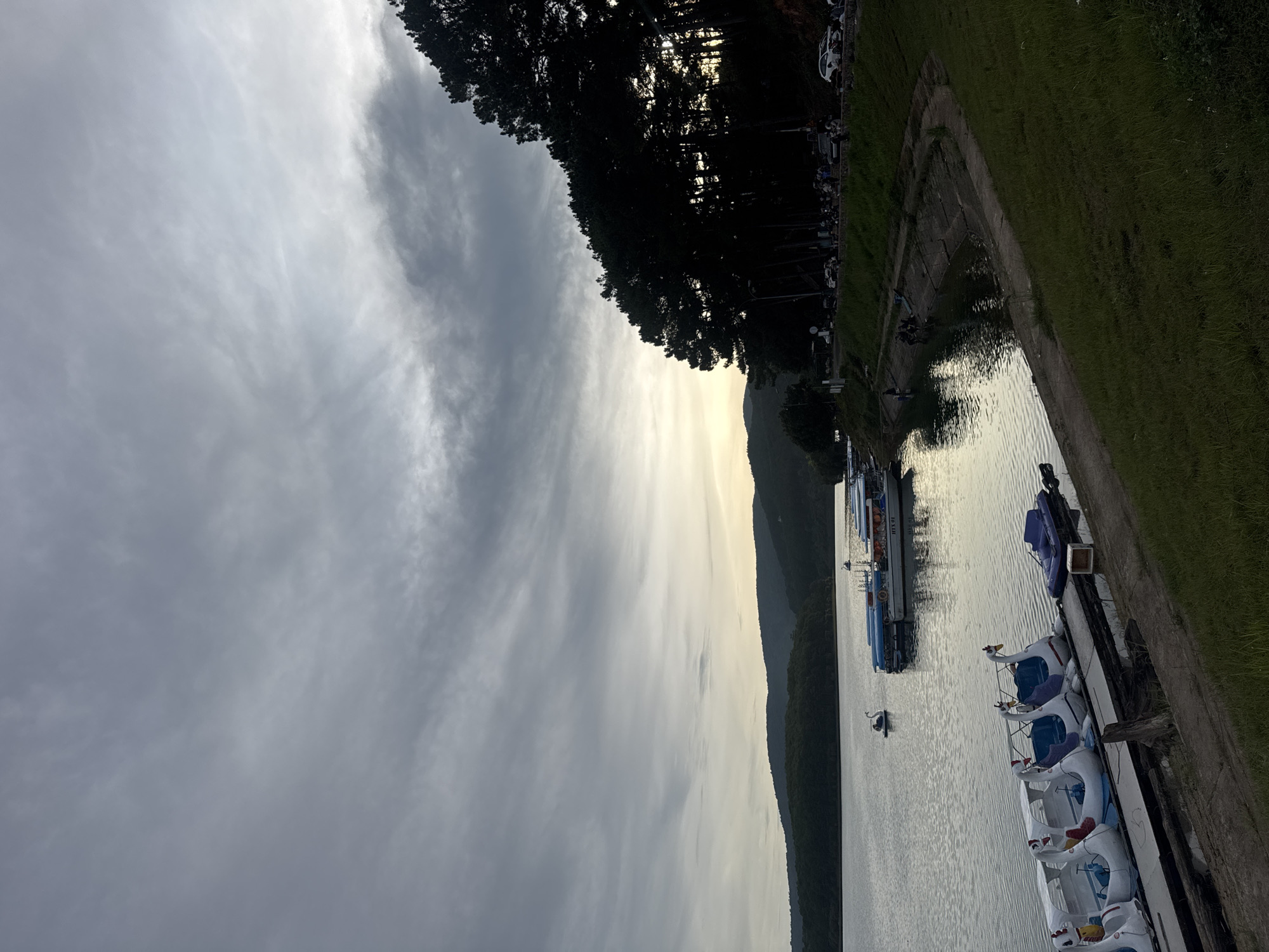 The image shows a waterfront scene at Hồ Xuân Hương lake in Da Lat, Vietnam. The sky is overcast with grey clouds. A line of dark trees runs along the top of the frame. A green grassy bank lines the water's edge. Several swan-shaped pedal boats are docked, along with a longer passenger boat. The lake water is calm and reflects the sky.