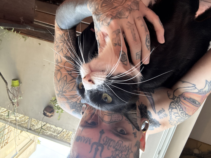 A tattooed person holds a tuxedo cat close, tilting their heads together. The cat has a black back and head with a white chest and chin. It gazes at the camera with striking green eyes. The person’s face and arms are heavily tattooed. Visible tattoos include script on the face, and symbols on the hands. The background shows a partially-obscured window and plants.