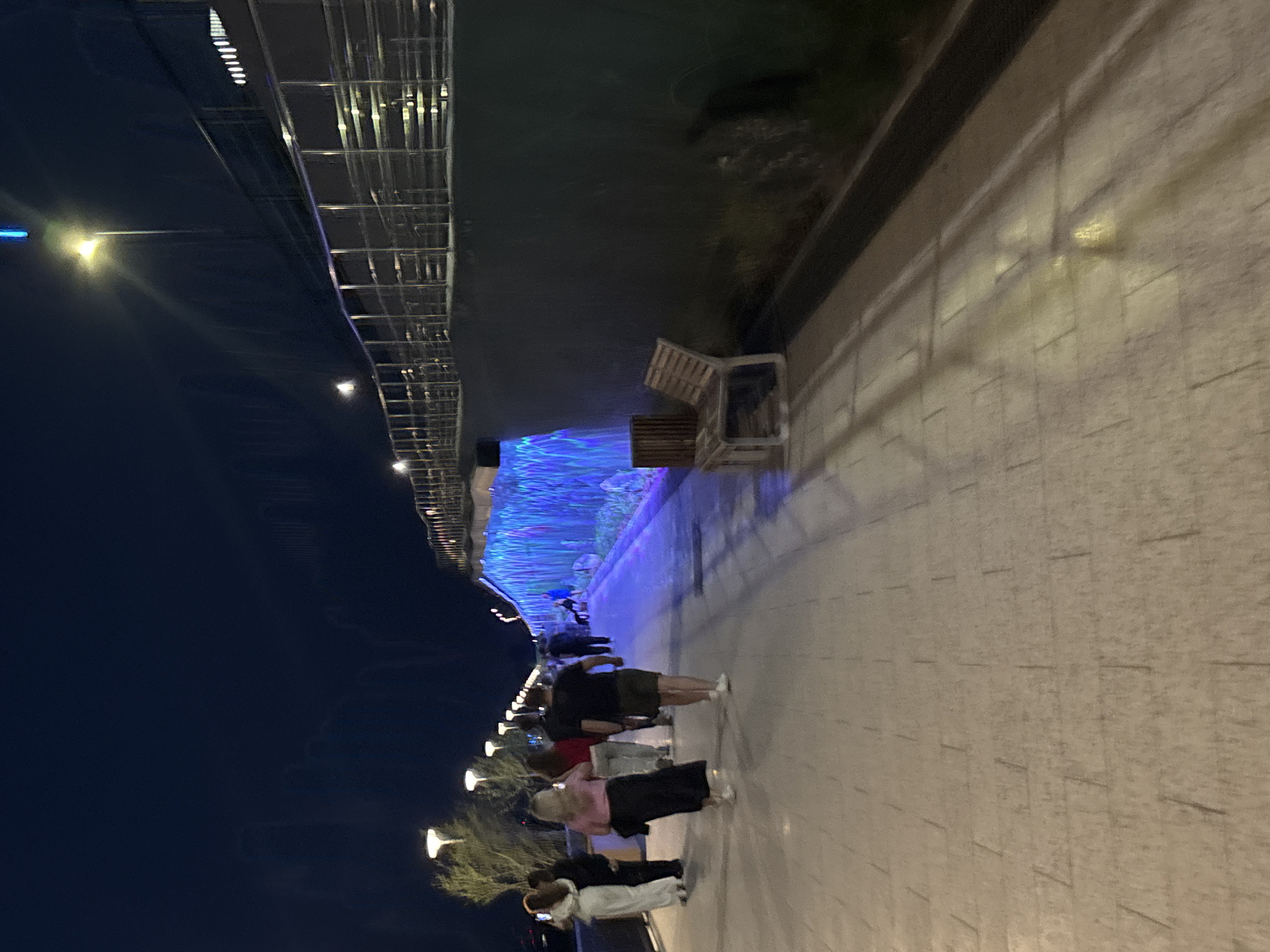 The image depicts a group of people walking along a pedestrian area at night in Perm, Russia. A large structure, possibly a bridge, overhangs the walkway with blue illumination shining from below, creating an illuminated effect. The walkway is paved, and seating is visible along the side. Streetlights are seen along the path in the distance.