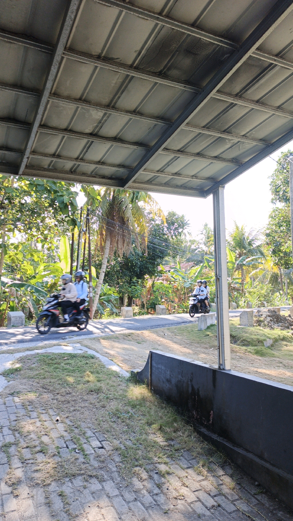 The image depicts a street scene in Cintaratu, Indonesia, characterized by a tropical environment and a covered walkway. The foreground shows a paved area with brick-like stones, partially overgrown with dry grass. A dark, low wall borders the paved area. Beyond this, a paved road is visible, where two motorcycles are traveling. The first motorcycle, closer to the viewer, carries two individuals wearing helmets. The second motorcycle is further down the road and also appears to have two occupants. The background is filled with lush green vegetation, including banana trees and palm trees, suggesting a rural or semi-rural setting. Sunlight filters through the trees, creating shadows on the road. The sky is bright and appears clear. The covered walkway in the foreground is constructed with a corrugated metal roof supported by metal beams. The overall impression is one of a bright, sunny day in a warm climate, with daily life unfolding on the local road.