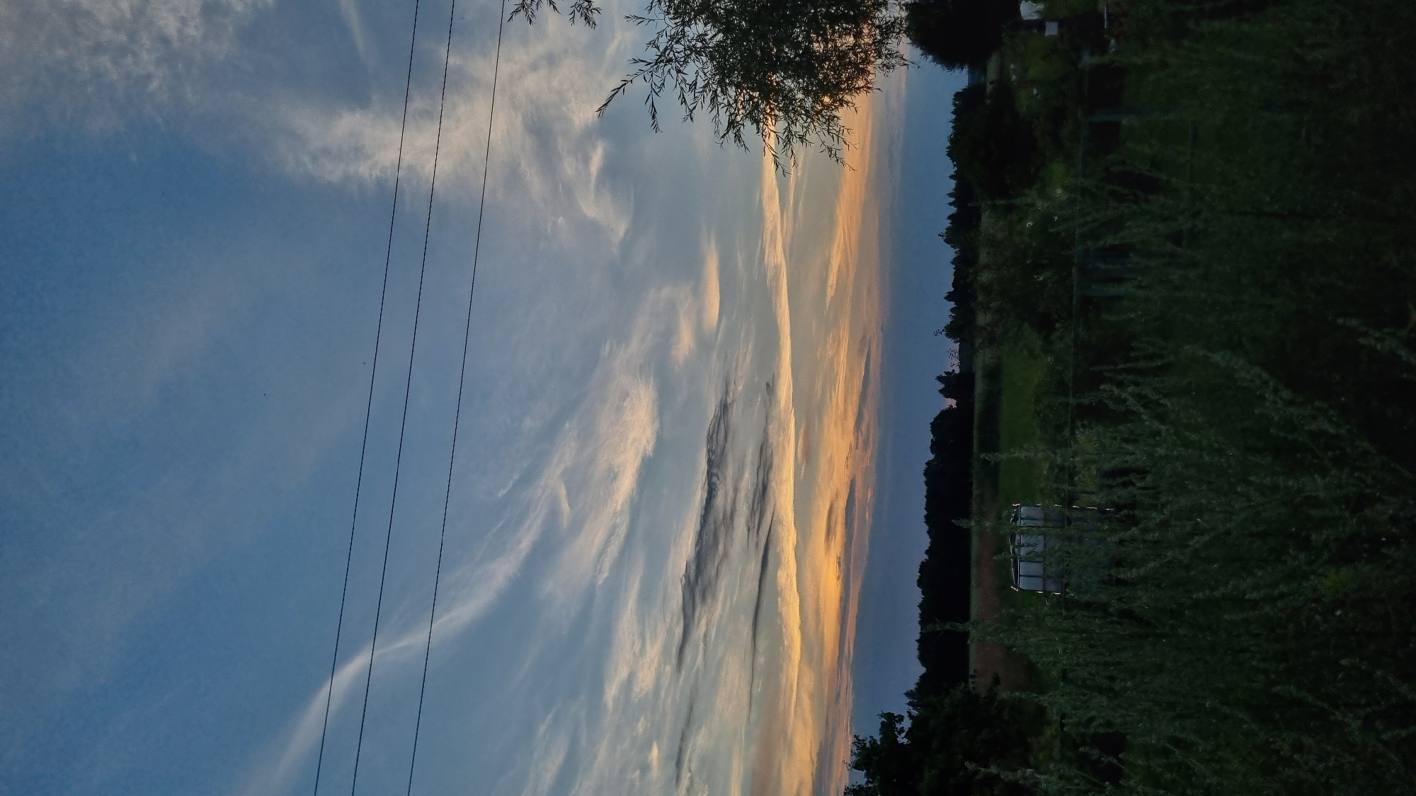 This is a vertical, outdoor, medium shot photograph taken at dusk in Vysokoe, Russia. The sky occupies the top half of the image, displaying a gradient of blue and pale orange hues, with scattered wispy white clouds. Three horizontal dark lines, likely power lines, are visible across the upper portion of the sky. The lower half of the image depicts a rural landscape. In the foreground, dense green foliage, possibly tall grass or shrubs, obscures the lower part of the scene. Behind the foliage, a white industrial bin or tank is visible in the mid-ground, situated in a field. A dark line of trees forms the horizon, with a lighter band of sky visible above it. The overall impression is of a quiet, natural environment at the end of the day.