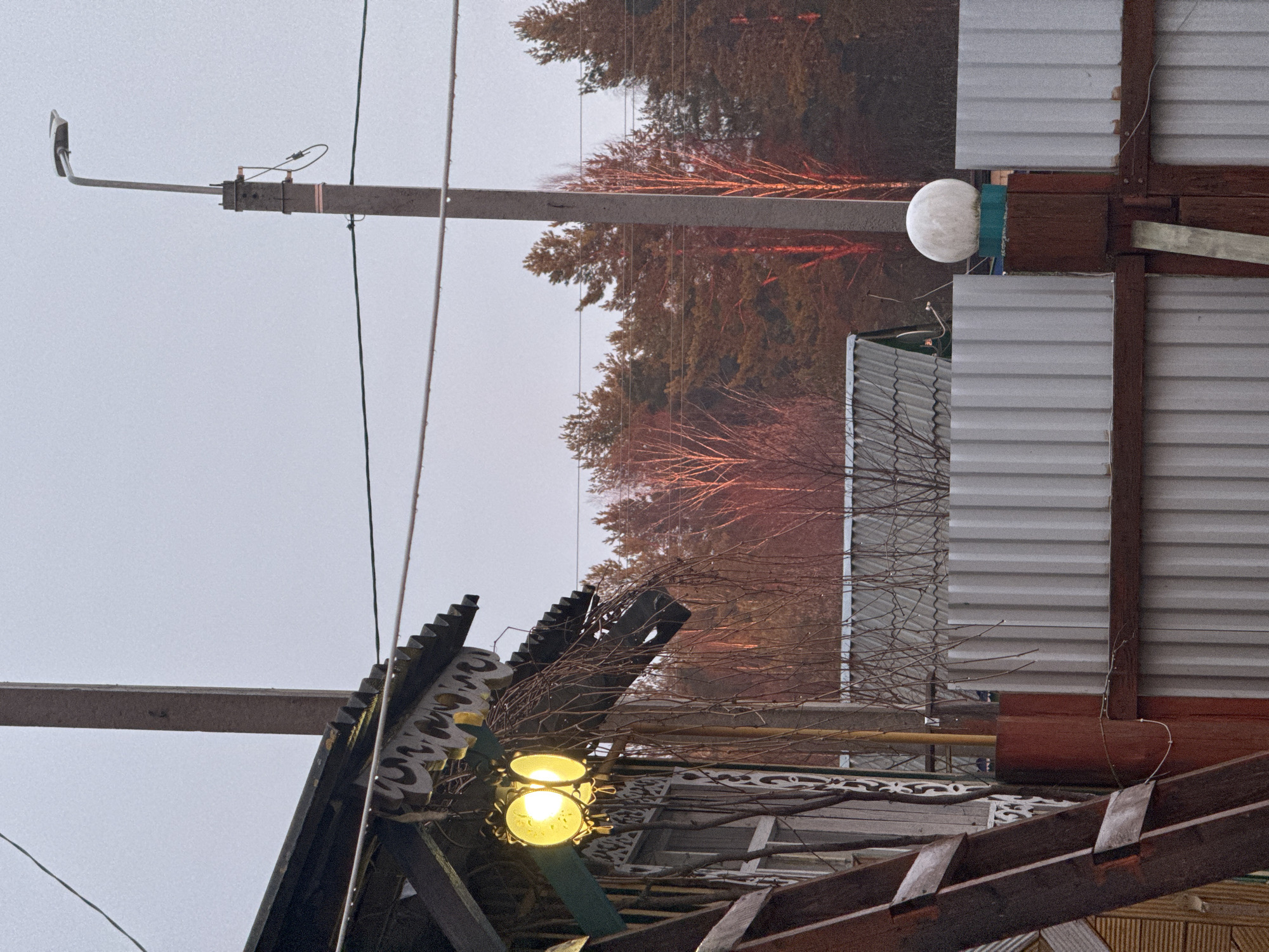 The image shows an exterior scene with various elements including utility poles, trees, and building structures. A utility pole with a light fixture is visible on the left side of the image. Overhead wires connect the utility pole to other structures. Trees appear in the background, their branches extending upwards. In the foreground, a roof structure with decorative details and a lighted lamp is present. A corrugated metal facade is visible to the right. The setting seems to be in a populated area, likely a residential neighborhood.