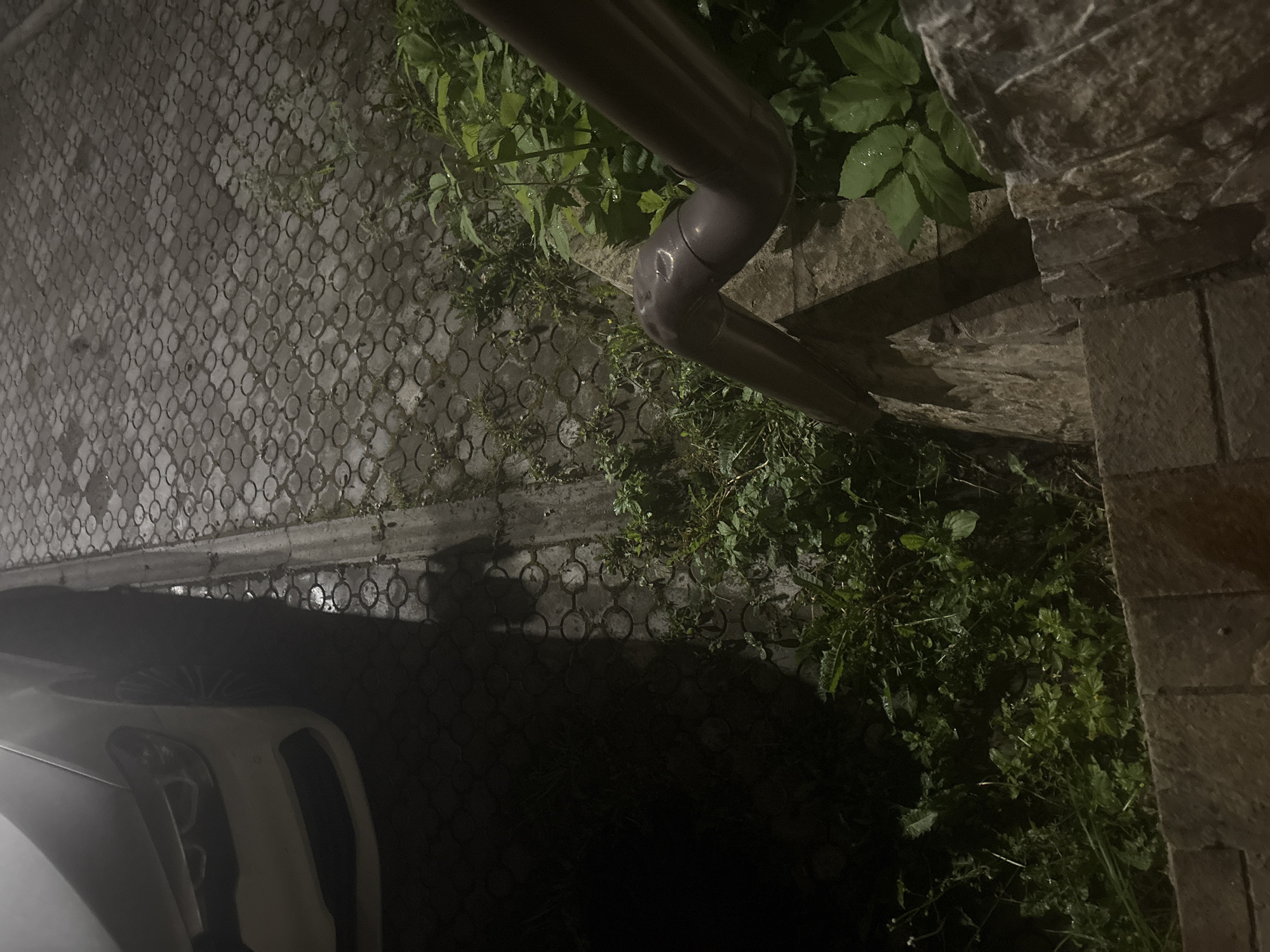 The image shows a dark, wet outdoor scene, possibly at night, with a partial view of a white car on the left. The ground is paved with interlocking stones, and there is a curb separating the pavement from an area of dense, green vegetation. A dark-colored drainpipe is visible running diagonally across the frame, curving downwards. The vegetation appears to be overgrown and wet, with water droplets visible on some leaves. In the foreground, there are stone steps. The overall impression is one of an unkempt area next to a road or driveway. There are no people or animals visible. The location is identified as Orekhovka, Russia.