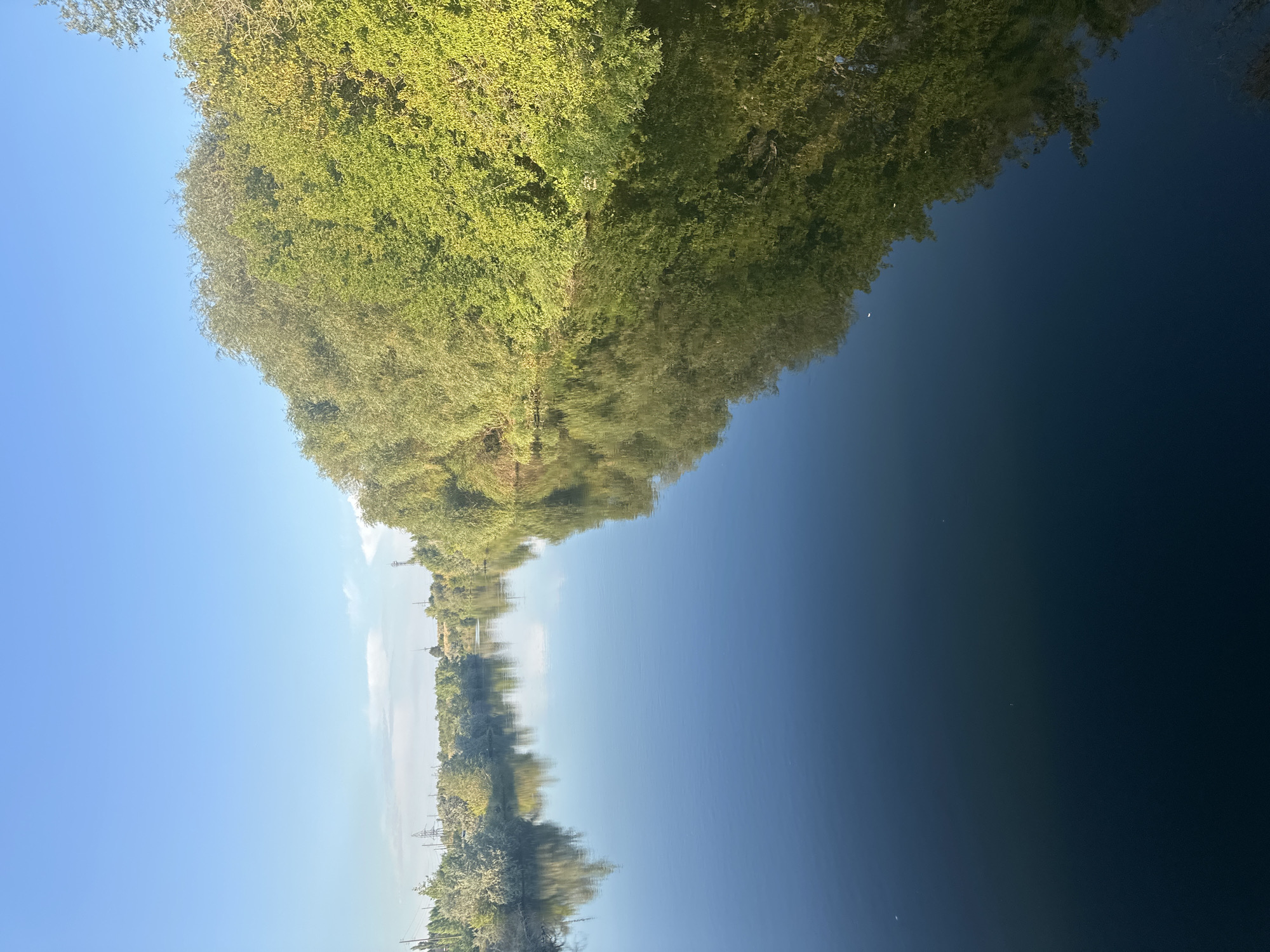 The image shows a wide, calm river flowing through a landscape dominated by lush green trees lining the banks. The water is dark and reflective, mirroring the vibrant foliage and the clear blue sky above. In the distance, hints of structures and power lines suggest the presence of a populated area, likely the city of Energetik, Russia, given the context. The overall impression is one of natural beauty and tranquility, with the man-made elements subtly present in the background.