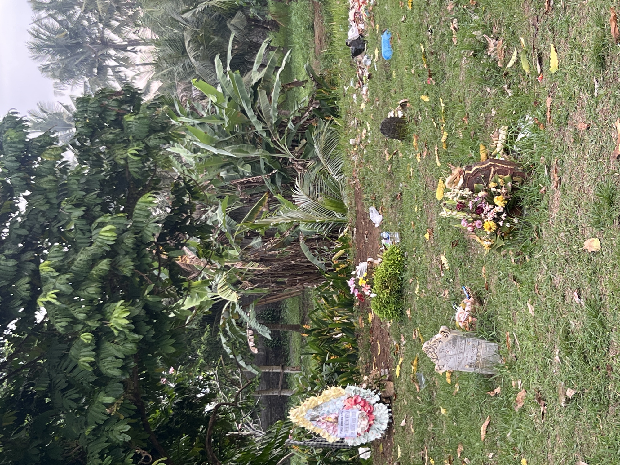 The image depicts a cemetery in Sukawati, Indonesia, with several graves visible. In the foreground, a small, weathered tombstone stands in the grass, adorned with fallen leaves. To the left of the tombstone, a floral wreath, likely a funeral tribute, is placed on the ground. Further to the left, another, larger floral arrangement is situated near a grave. In the mid-ground, a cluster of green bushes and more floral tributes are present. The background is dominated by lush green vegetation, including banana trees and palm trees, characteristic of the tropical environment of Bali. There is evidence of litter scattered on the ground in the mid-ground and background, including plastic bags and bottles, suggesting a lack of regular maintenance. The overall scene conveys a sense of quiet solemnity, tinged with the somberness often associated with cemeteries.