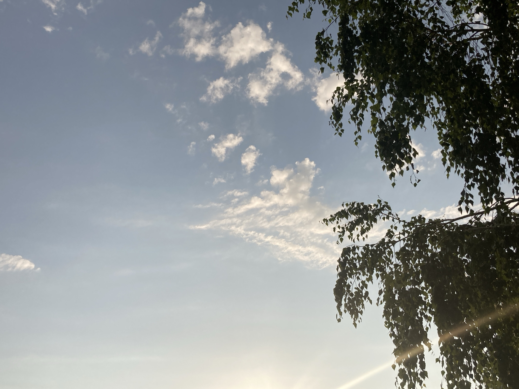 This media file captures a serene sky view with tree branches. The subjects are primarily the natural elements: a vast expanse of a pale blue sky dotted with scattered white clouds, some appearing wispy and stretched, while others are more voluminous and rounded. Overhanging the scene from the right and partially from the top are the dark green, leafy branches of a tree, possibly a birch given the location context. The leaves are small and numerous, creating a dense canopy that contrasts with the open sky.
The activity taking place is none; it's a still shot of nature. Notable details include the time of day, which appears to be late afternoon or early evening. The sun is low, casting a warm glow and creating a lens flare effect in the bottom right quadrant of the image, suggesting a pleasant, possibly slightly hazy, weather condition. The location cues point to "Ракиты, Russia," implying an outdoor, natural setting likely within a park, garden, or rural area. The overall emotion conveyed is peacefulness and tranquility, characteristic of a calm day outdoors. There is no visible text in the image.