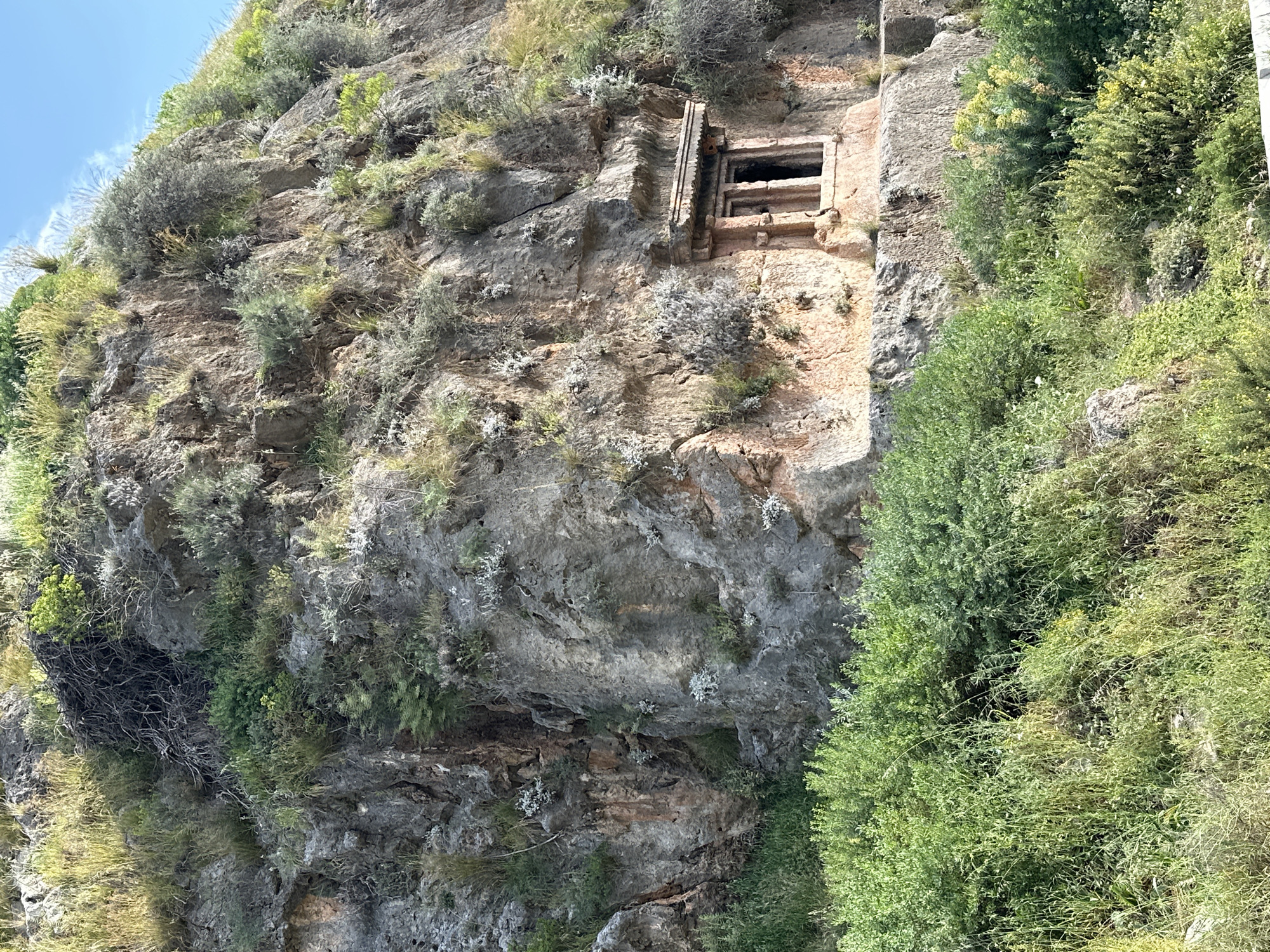This image depicts a rock face with a Lycian tomb carved into it, located in Fethiye, Turkey. The tomb is rectangular with a dark entrance and decorative architectural elements around the opening. The rock face is covered in vegetation, including grass, bushes, and small trees. The sky is visible in the upper left corner and is pale blue.
